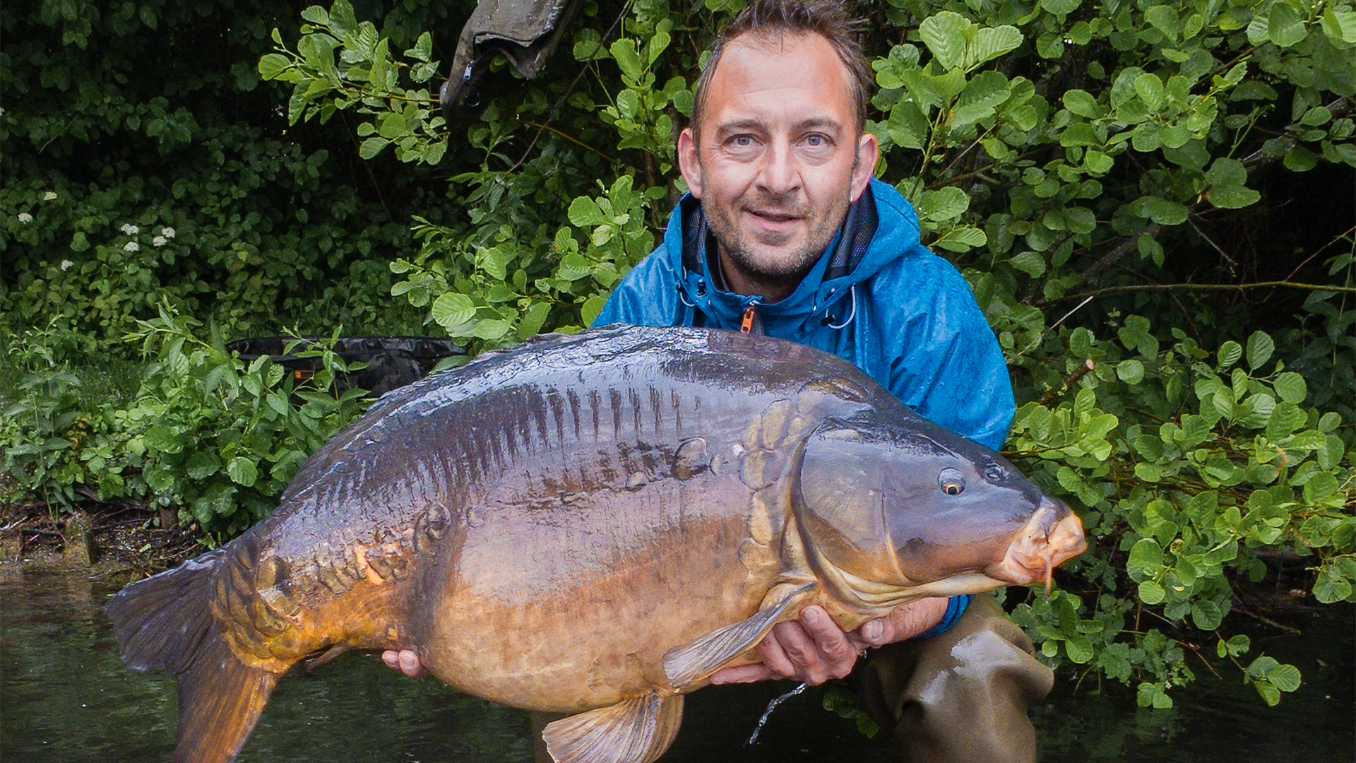 Karpfenangeln am Fluss