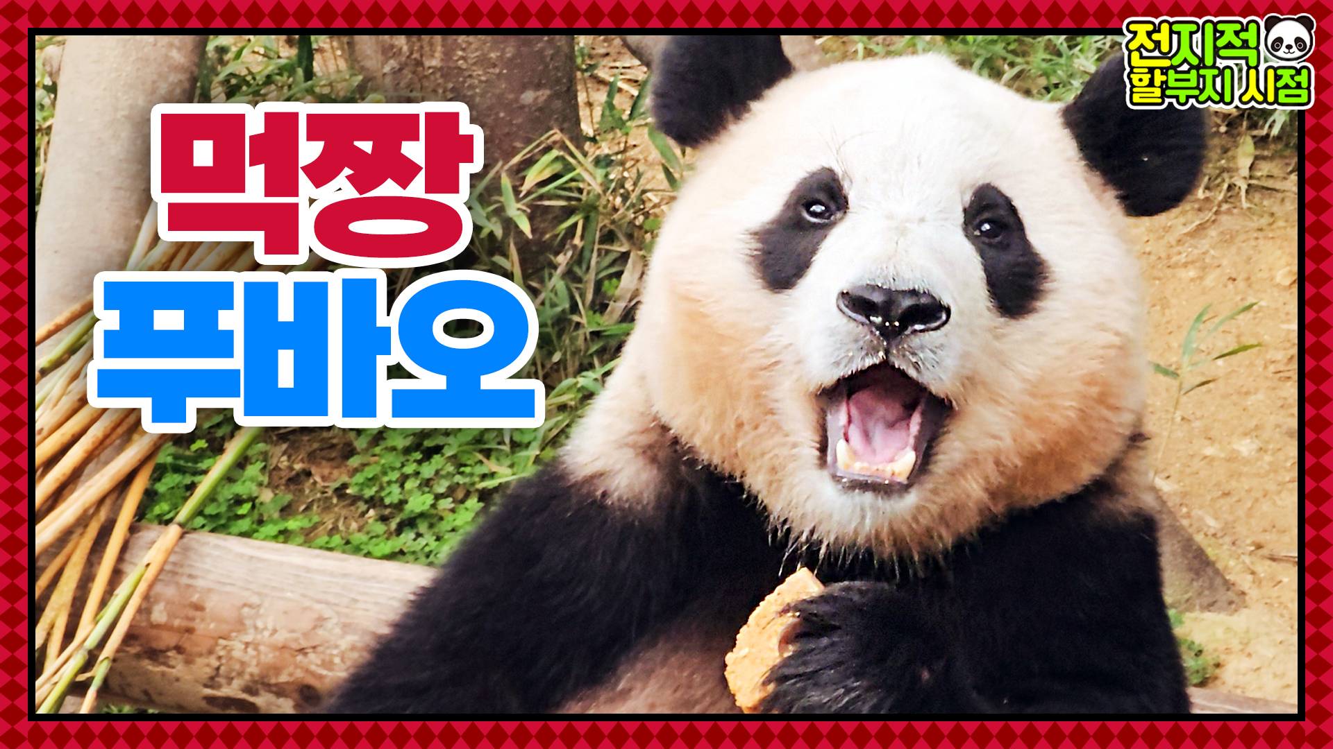 “푸바오는 이 가을을 잊지 않을 거예요” 할부지의 사랑으로 행복한 가을 일