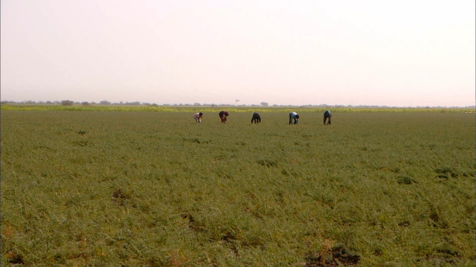 Sarah Wiener in Asien