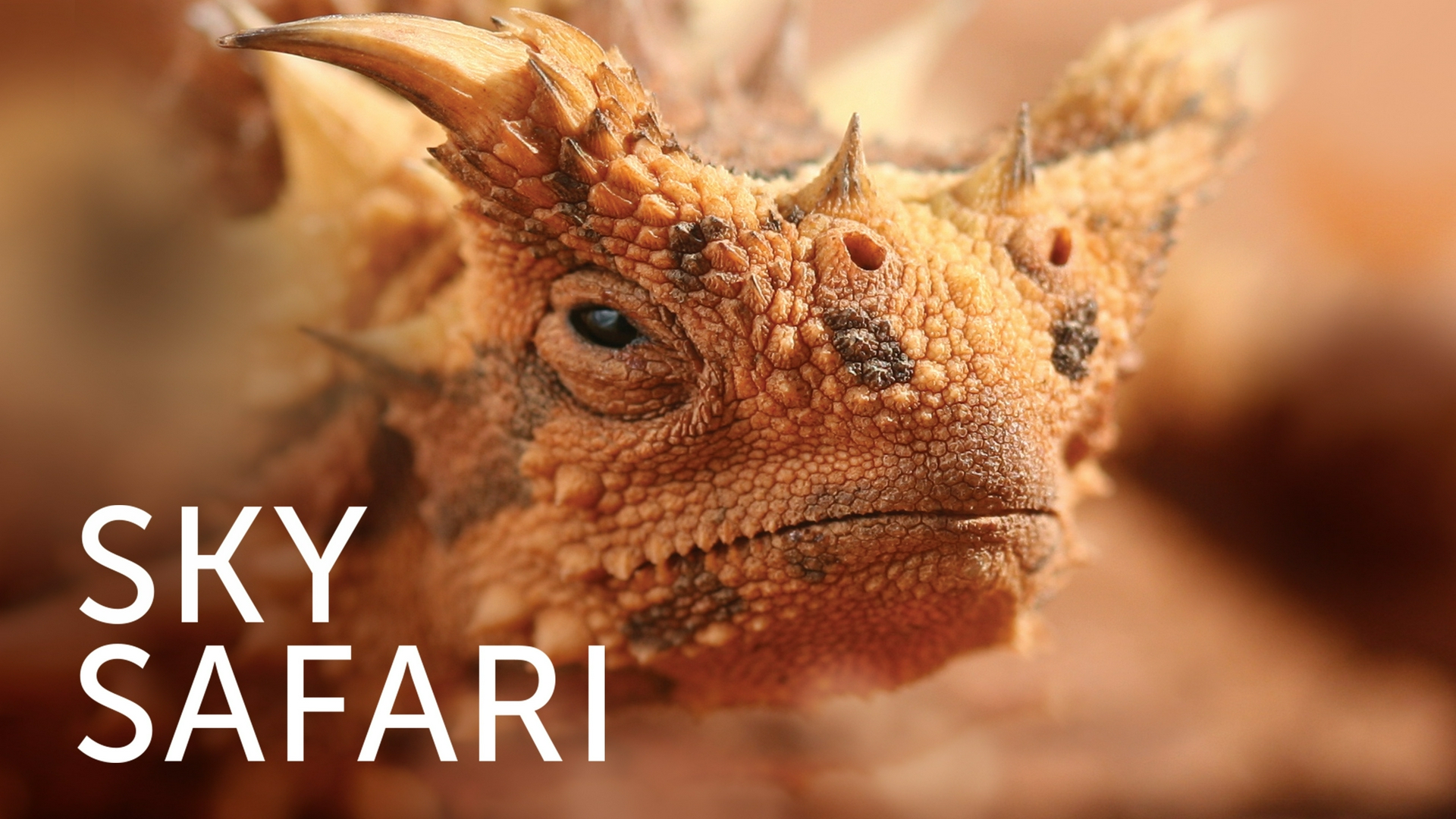 Sky Safari