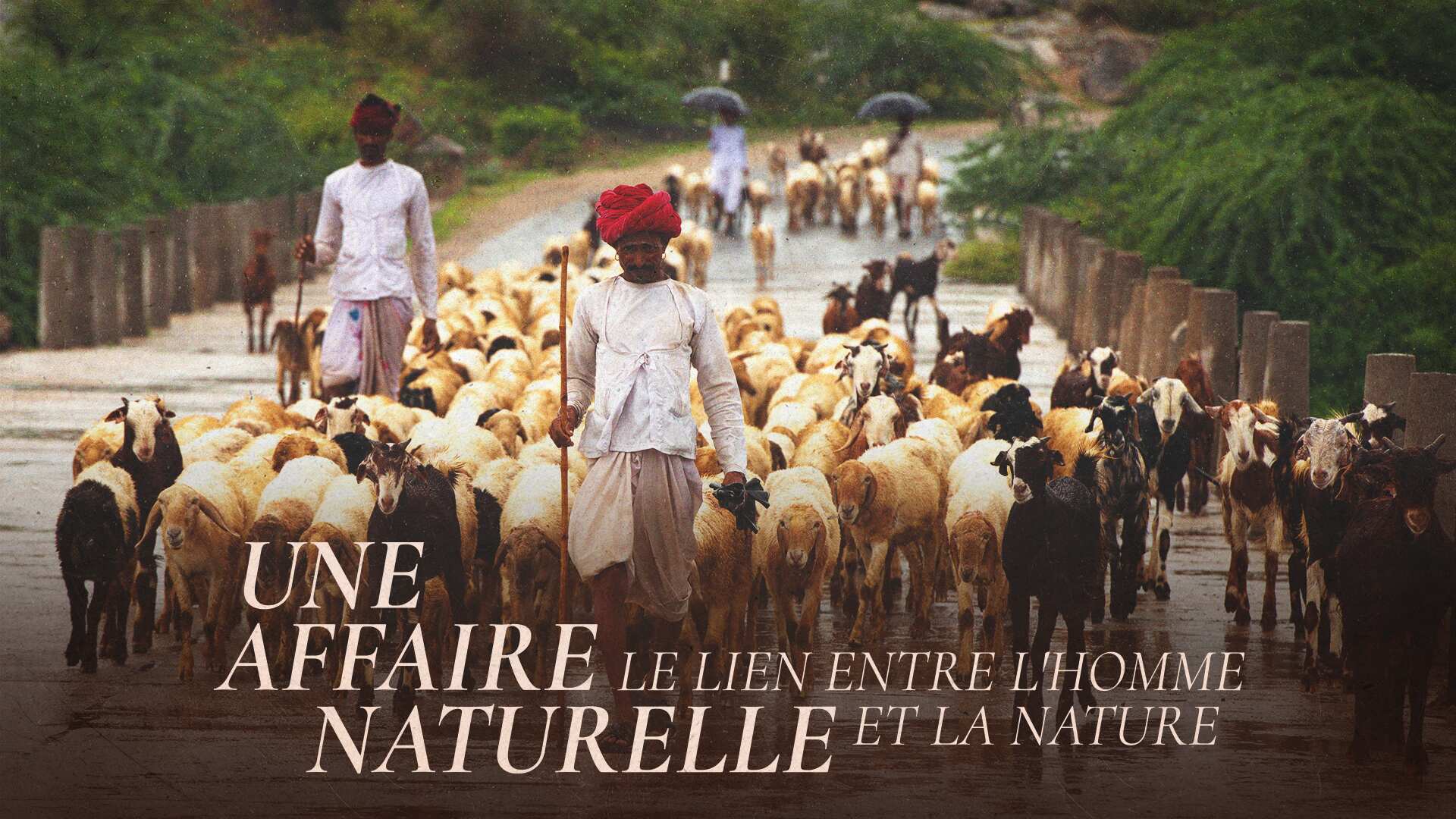 Une Affaire Naturelle: Le Lien Entre L'homme Et La Nature