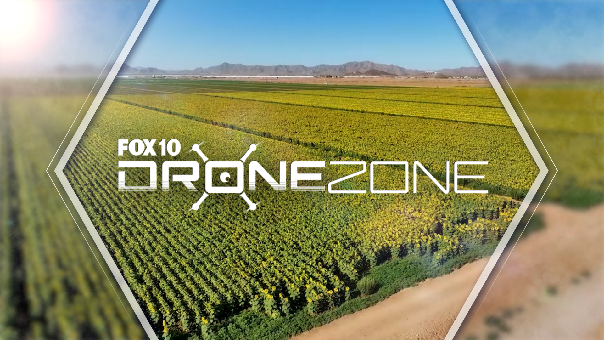 ARTizona | Drone Zone