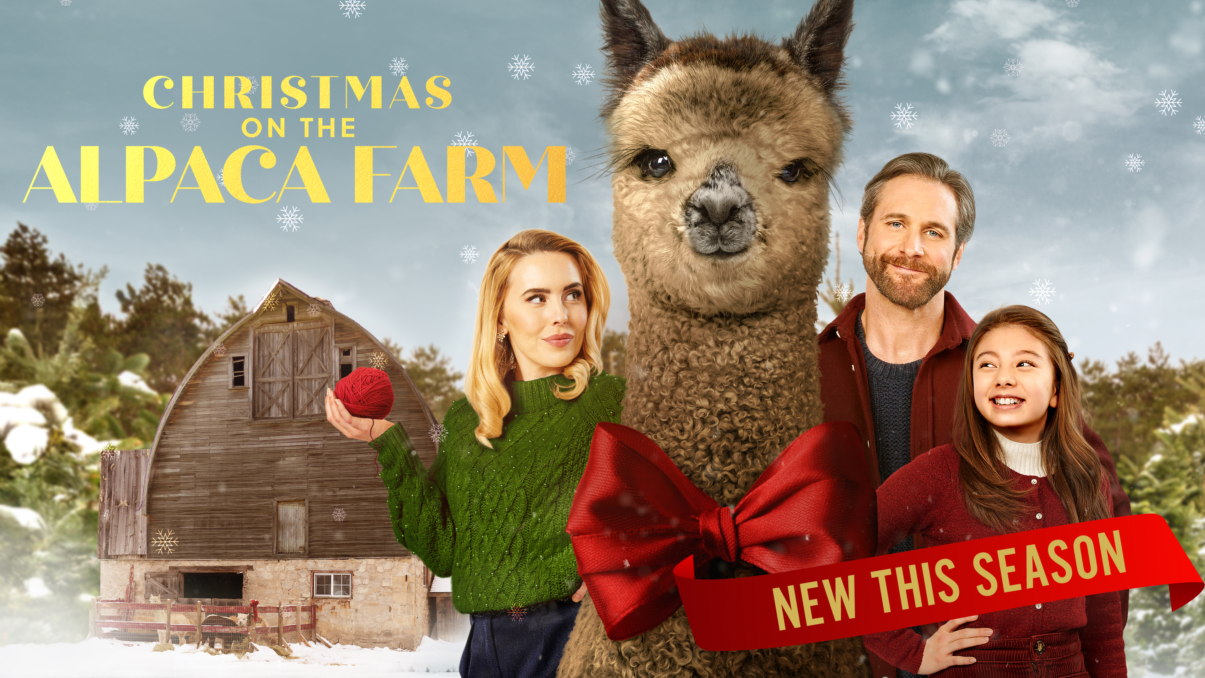 New for 2025: Christmas on the Alpaca Farm