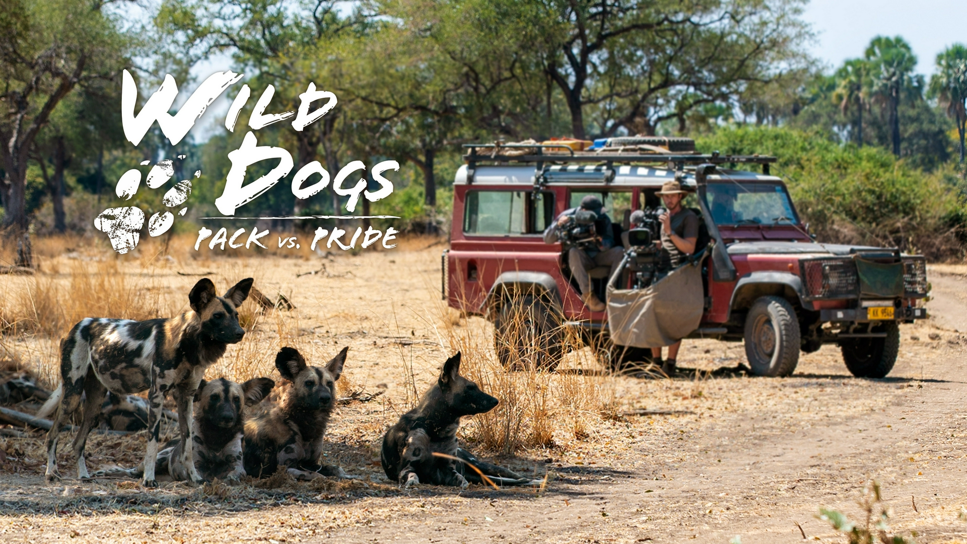 Wild Dogs: Pack Vs.Pride