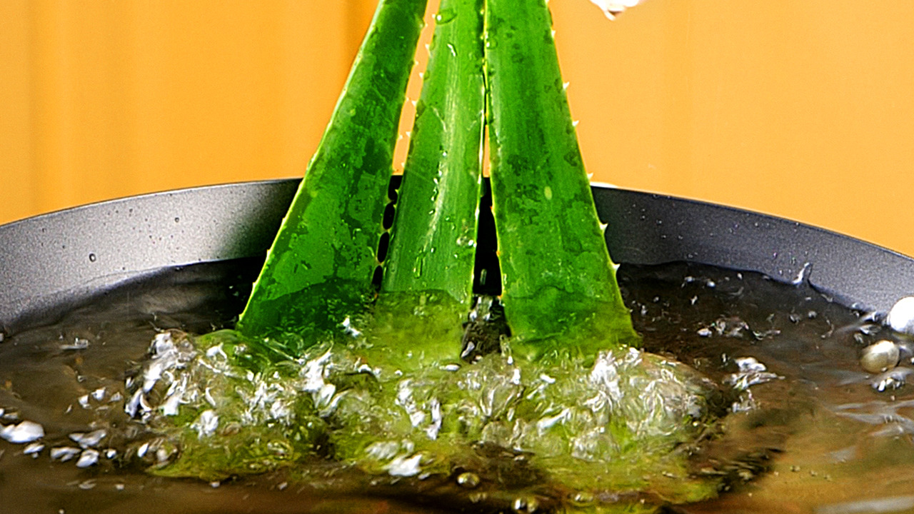 Sabrosas recetas de comida saludable y exótica