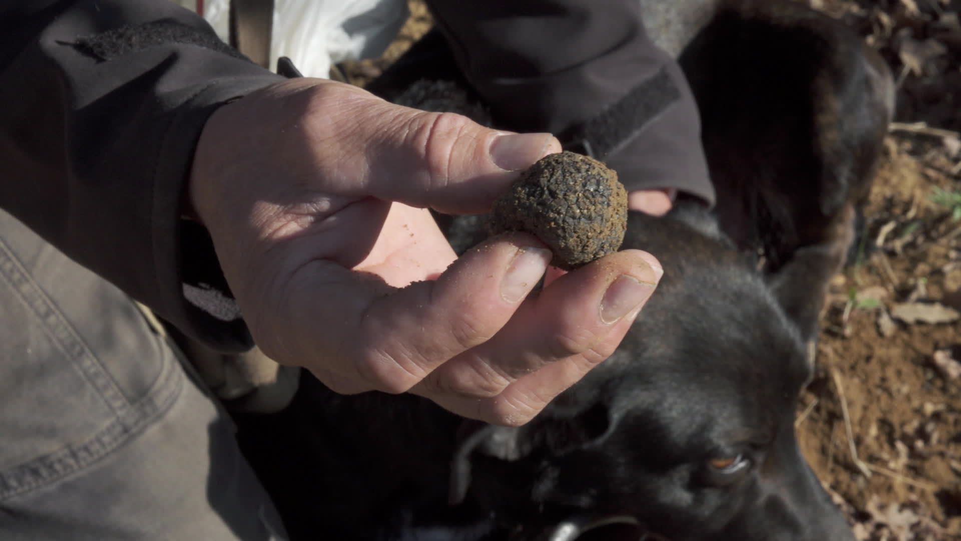 Itinéraires Paysans