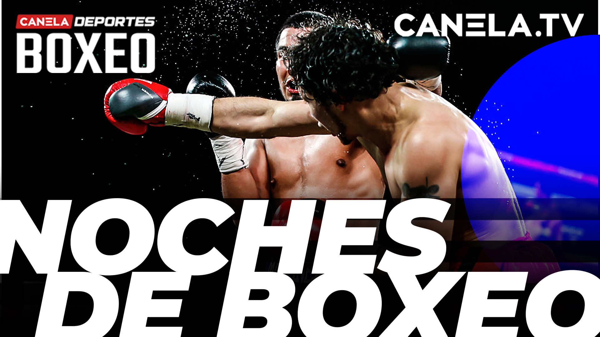 Noches de Boxeo