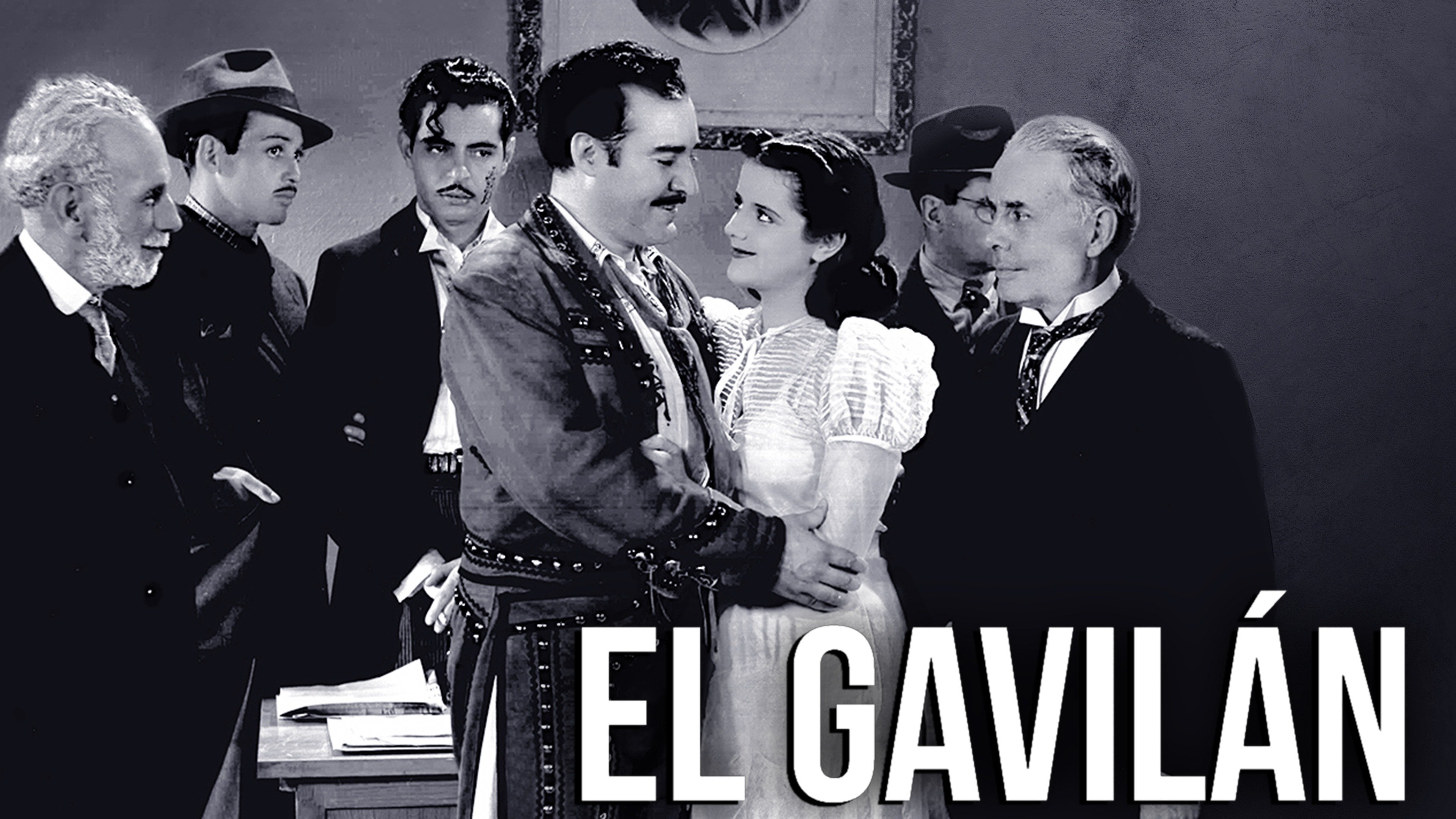 El gavilán