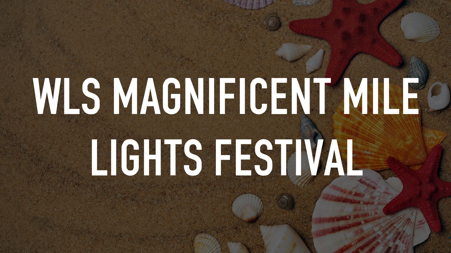 WLS Magnificent Mile Lights Festival