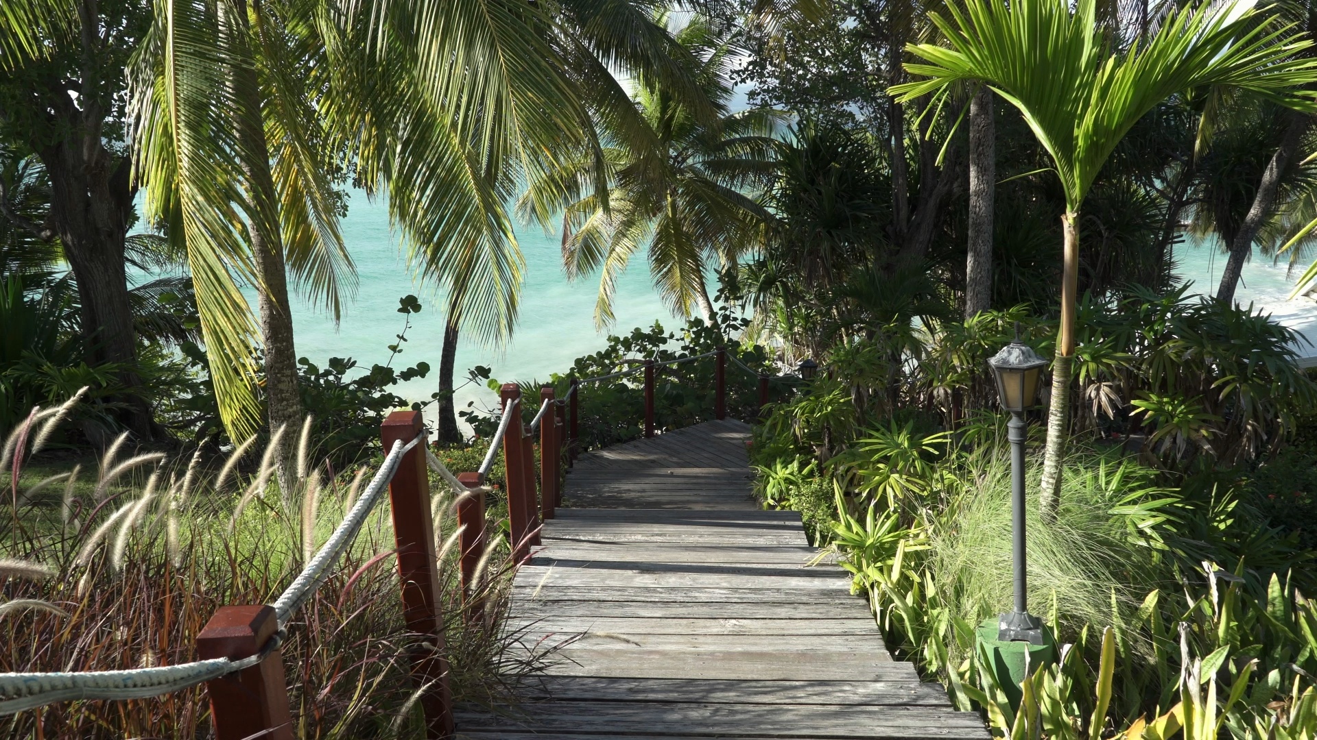 Boardwalk to the beach: Guadeloupe