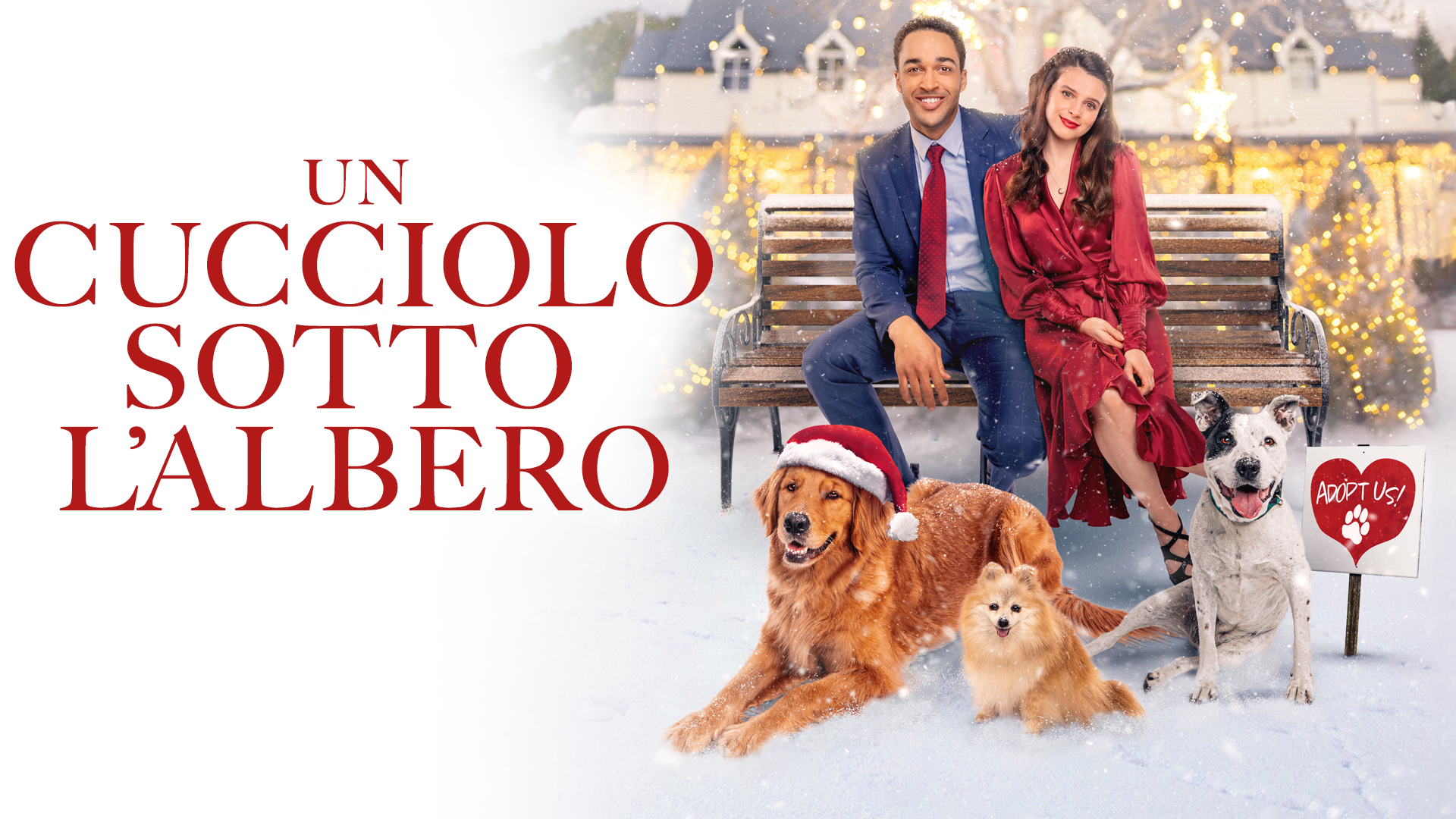 Un Cucciolo Sotto L'albero