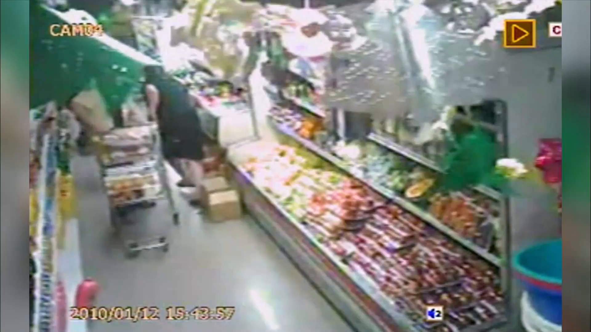 La science des forces de la nature