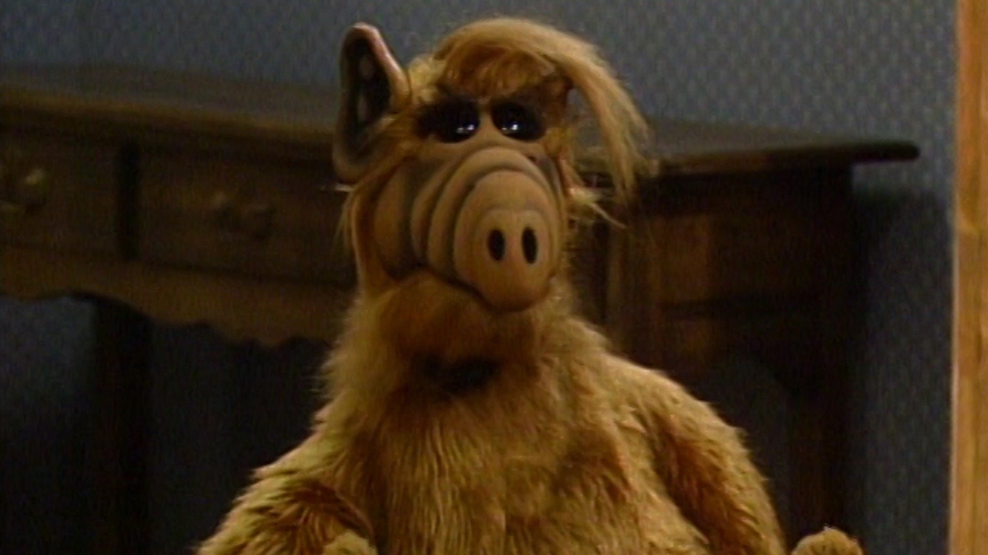 ALF