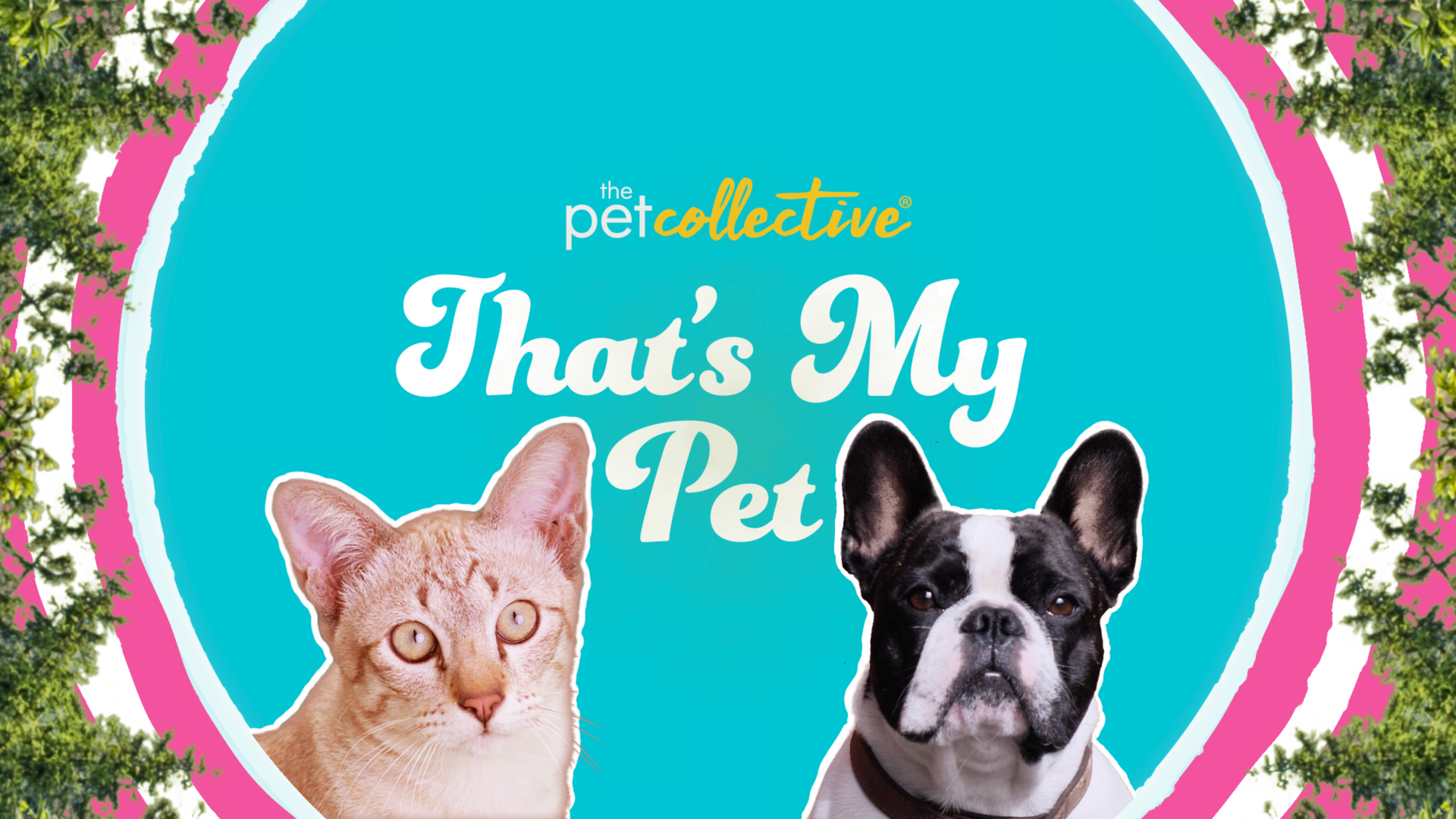 TPC That's My Pet