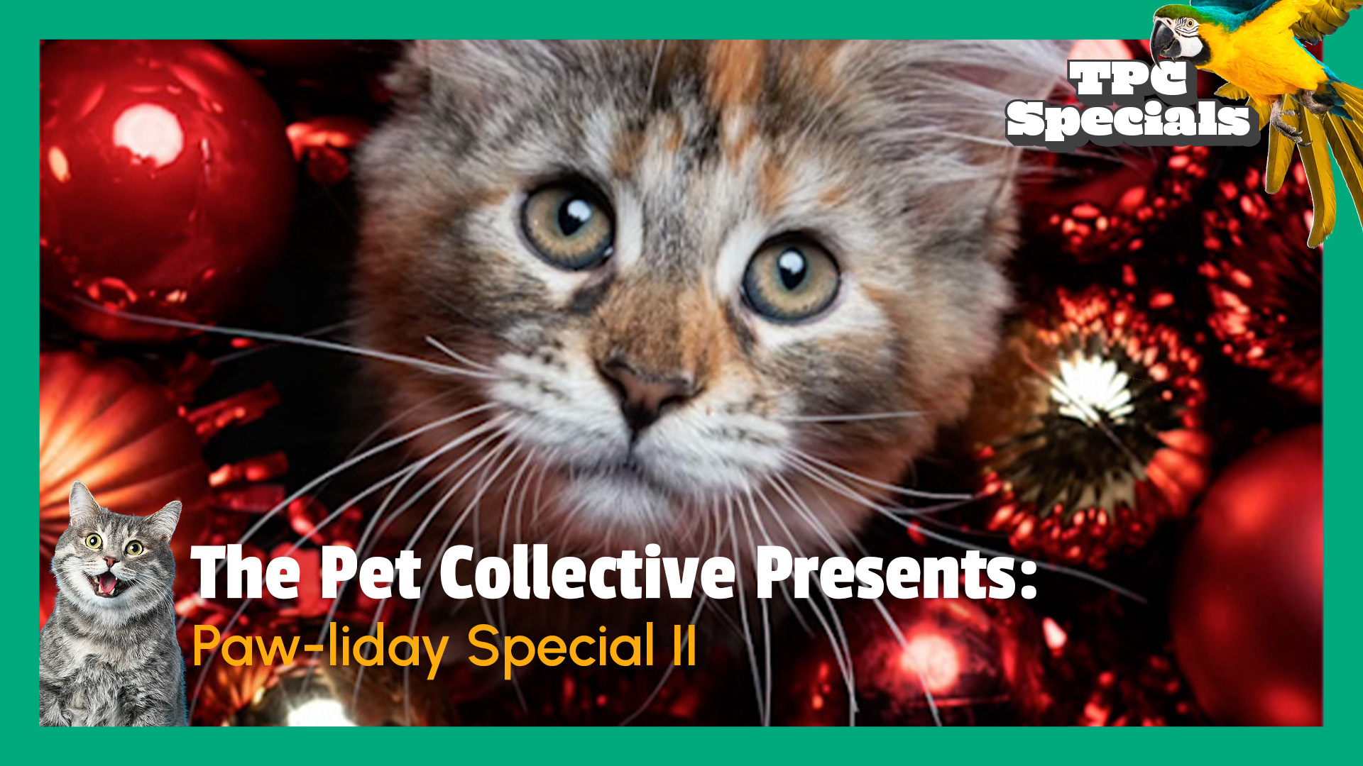 TPC Paw-liday Special II