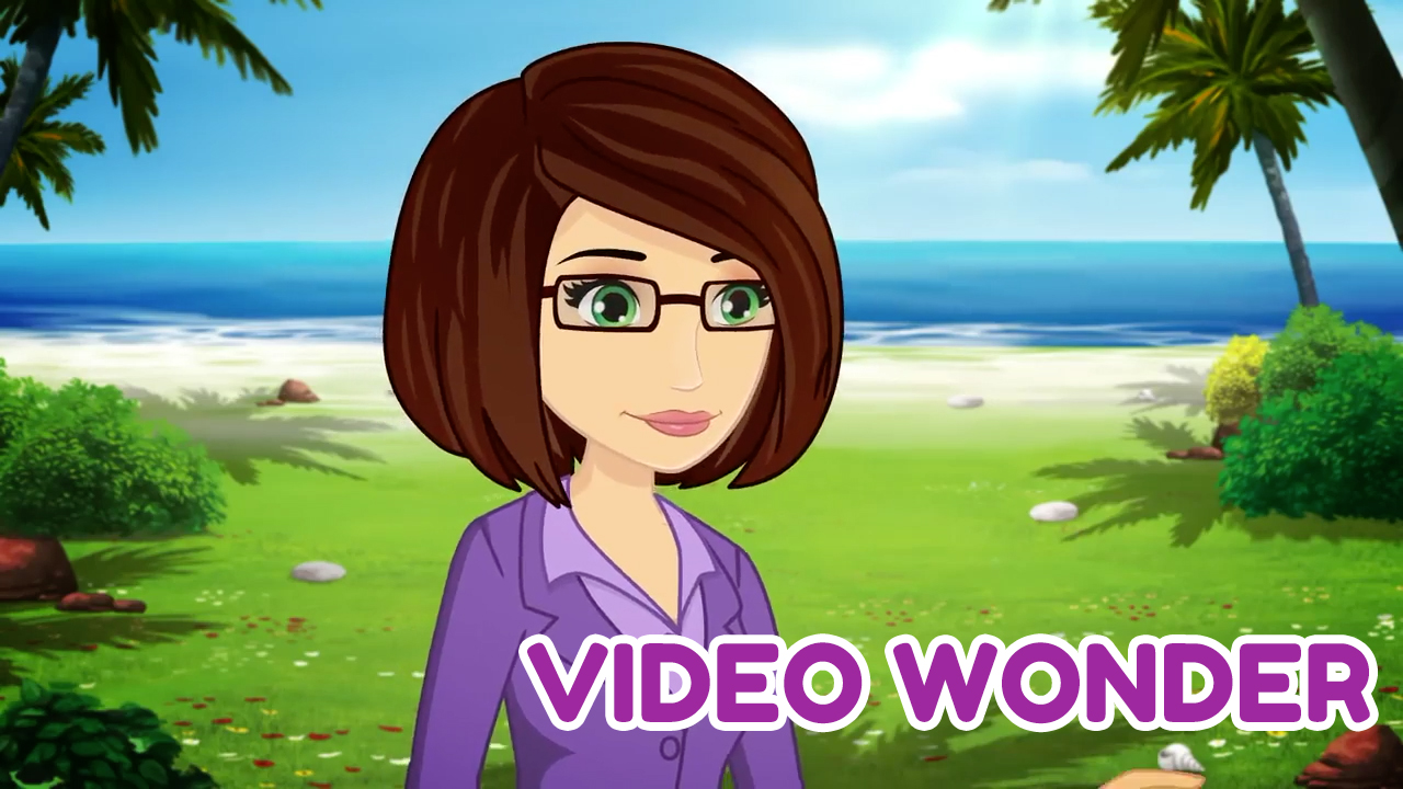 Video Wonder