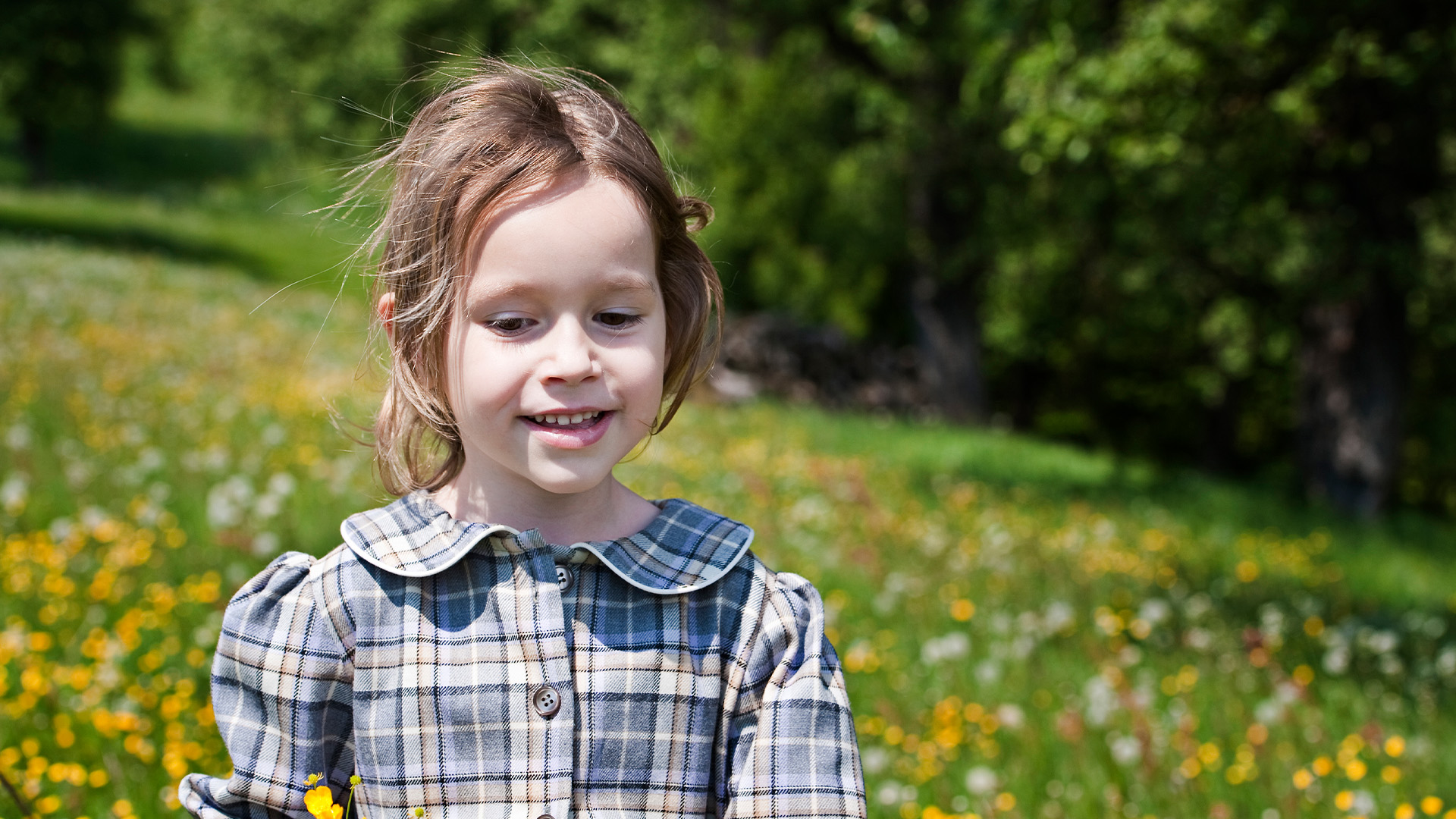 Il miracolo della Carinzia