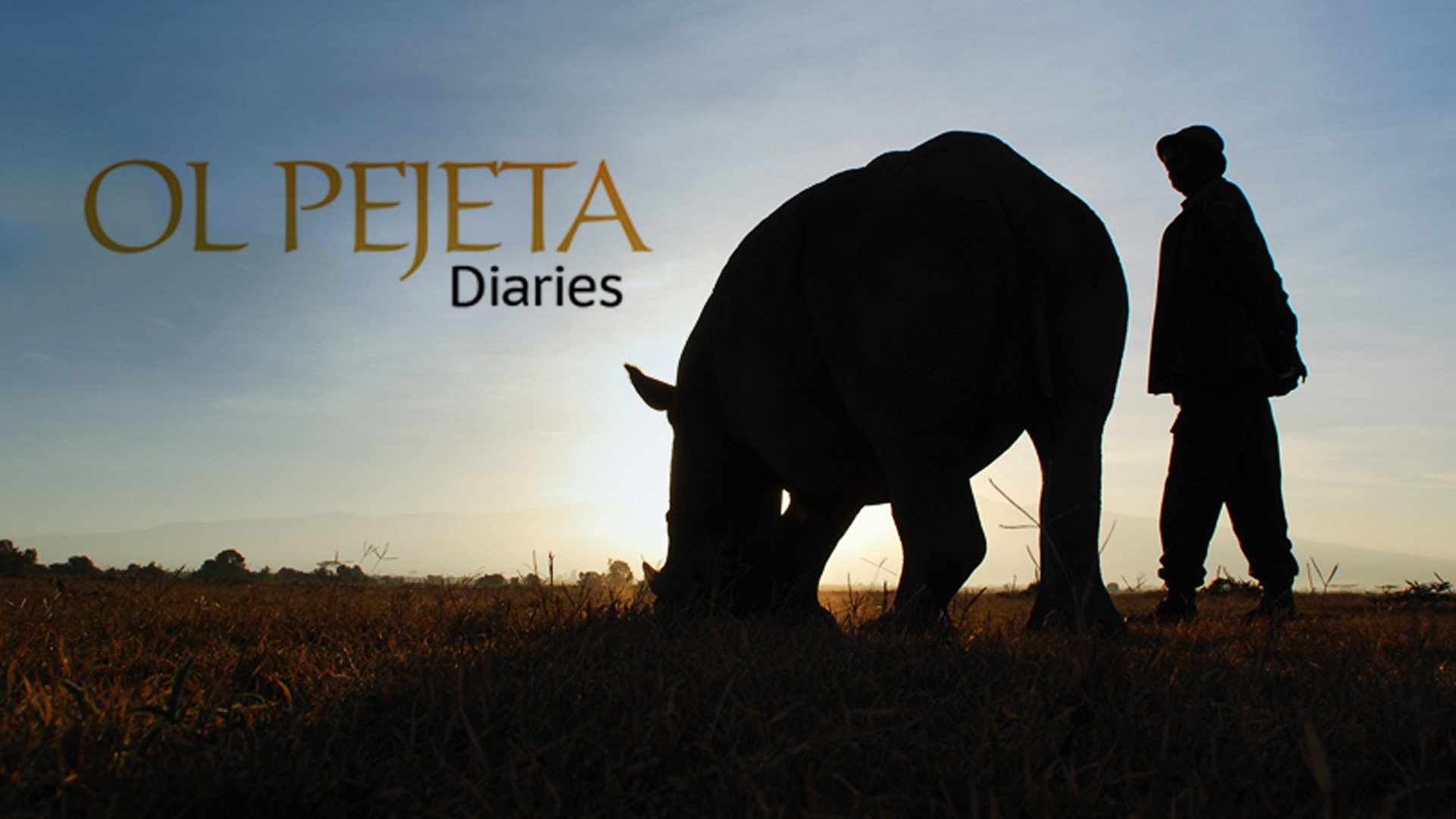 Ol Pejeta Diaries
