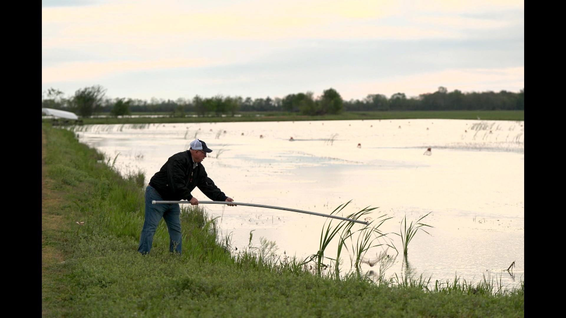 Invitation au voyage