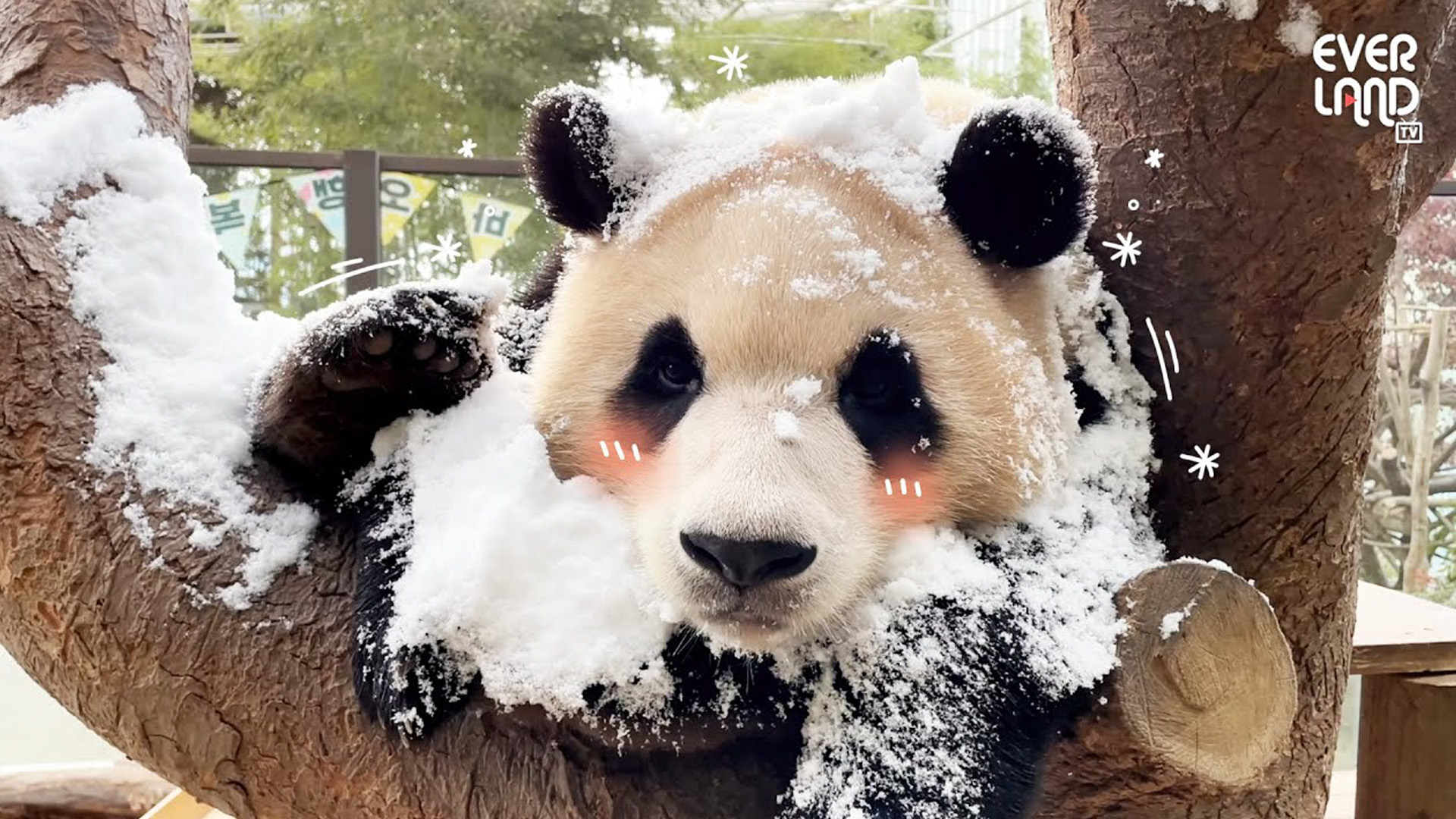 푸공주 in 겨울왕국?!⛄ 23회