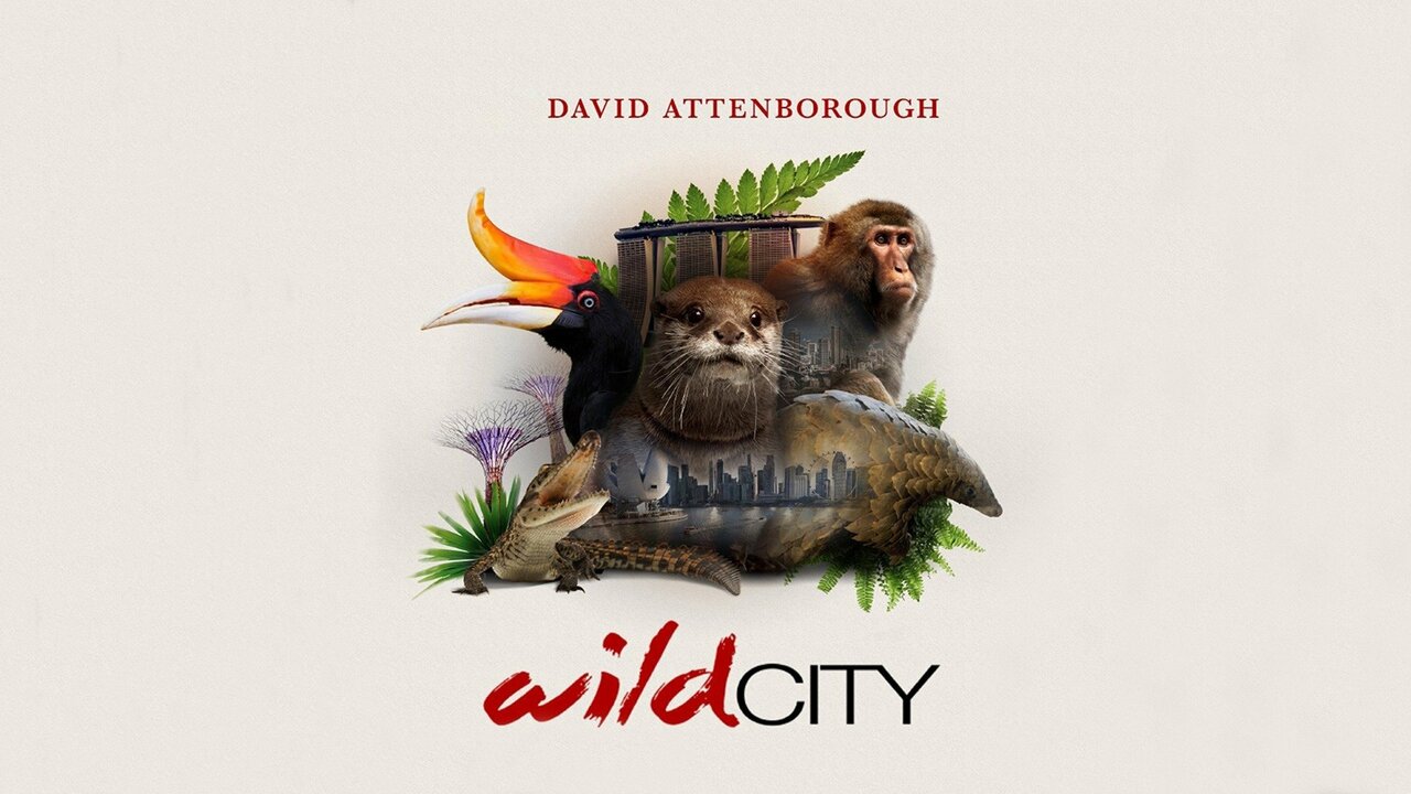 David Attenborough's Wild City: Hidden Wild