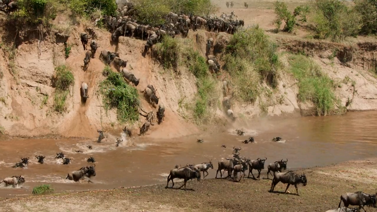 Ist das Gras dort grüner? Flussüberquerung
