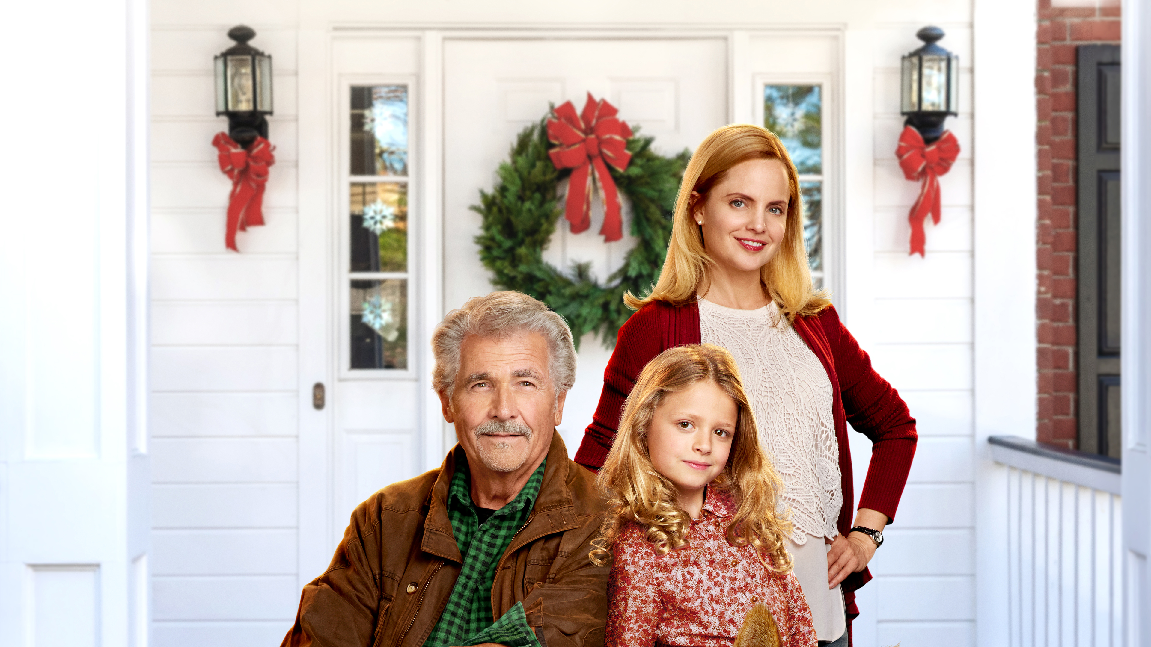 I'll Be Home for Christmas (2016)