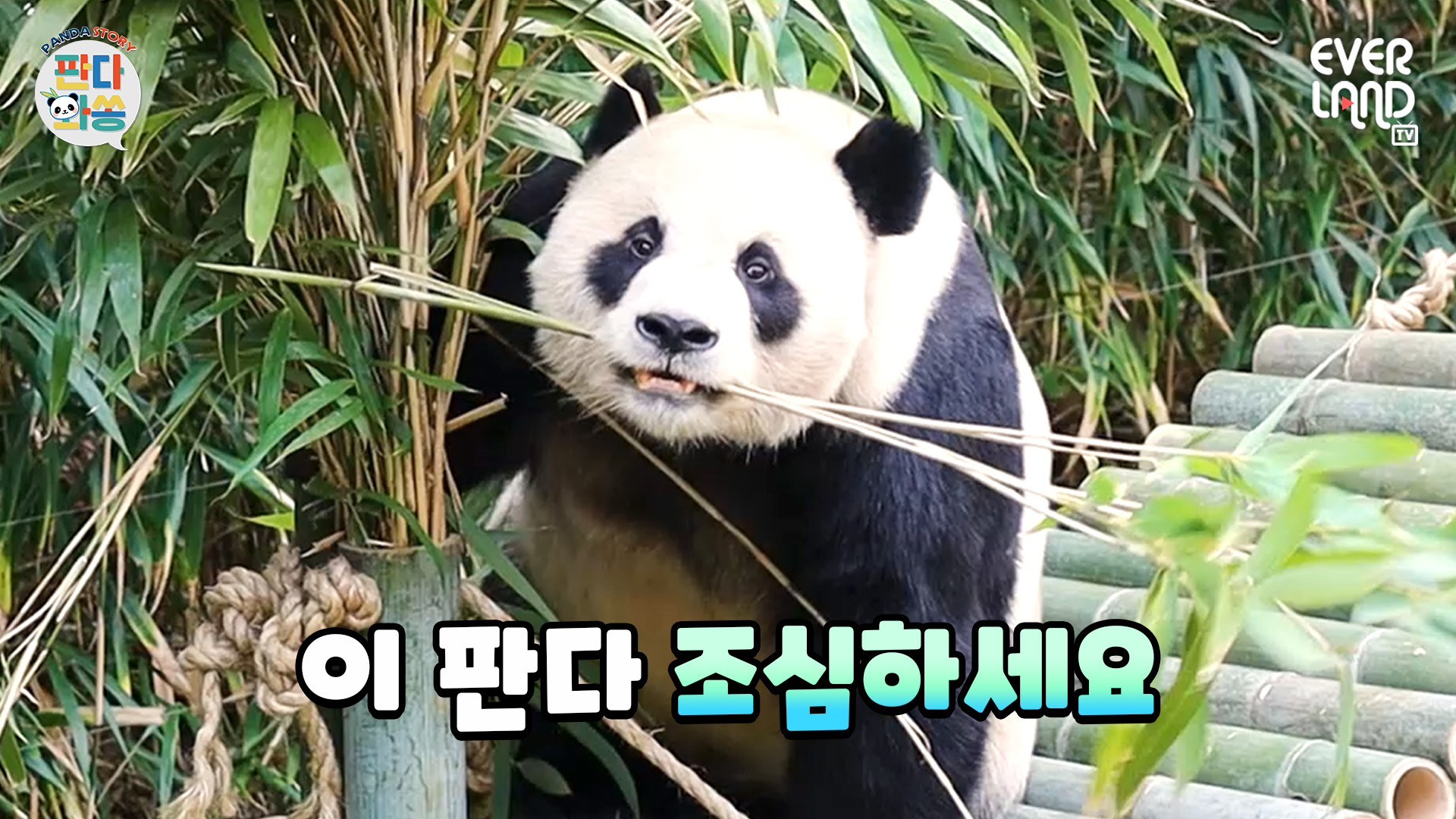 마음을 훔칩니다 86회