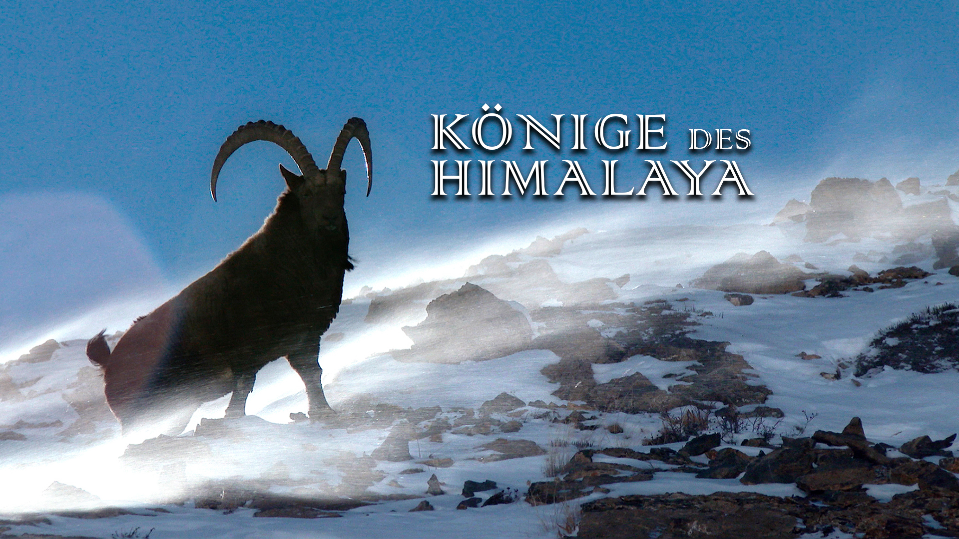 Könige des Himalaya
