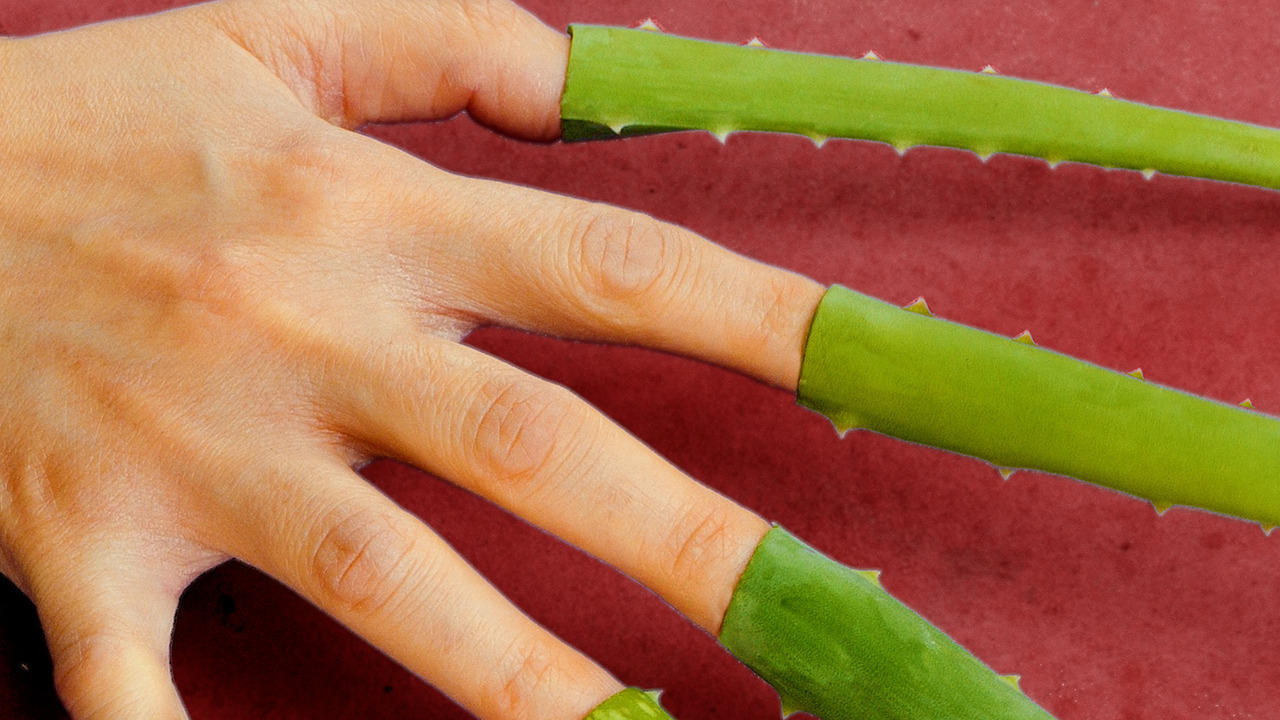 Productos de belleza caseros || Recetas de belleza con aloe vera