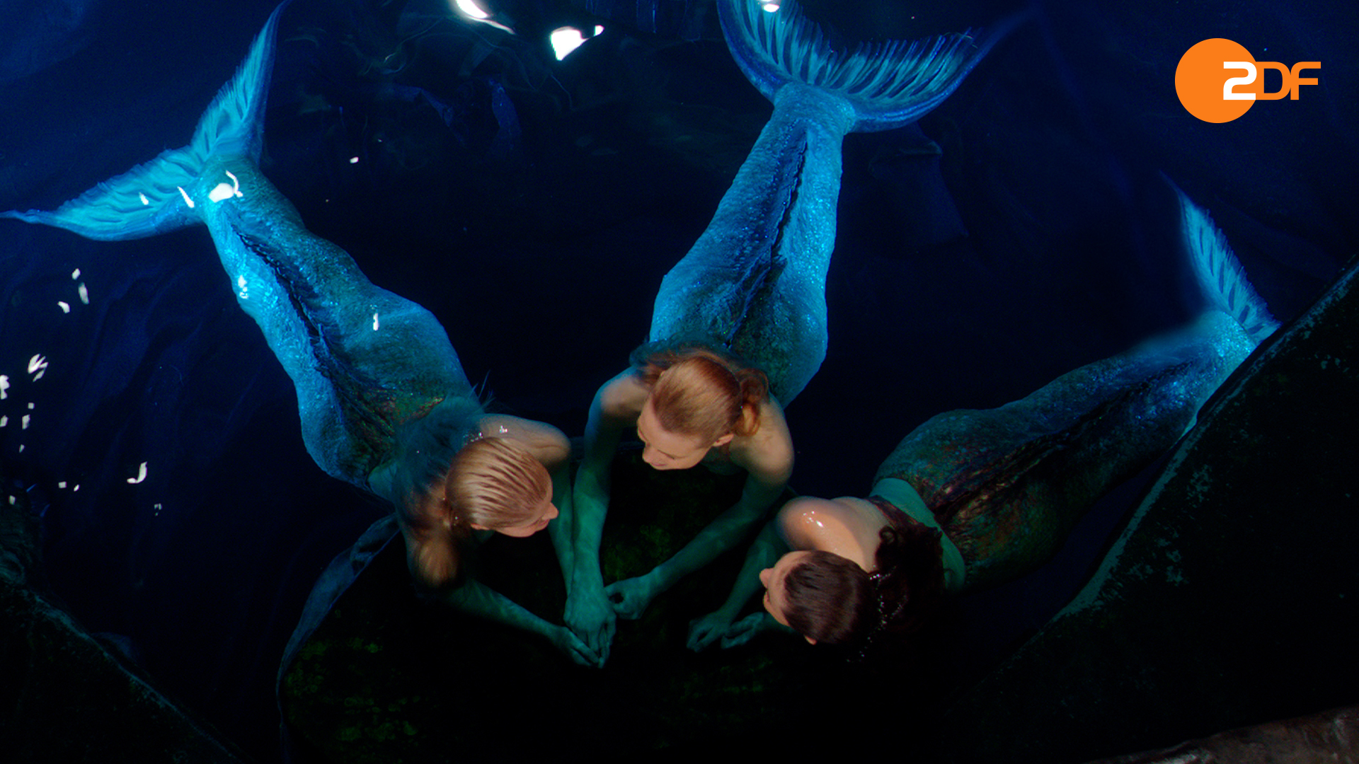 Mako Mermaids