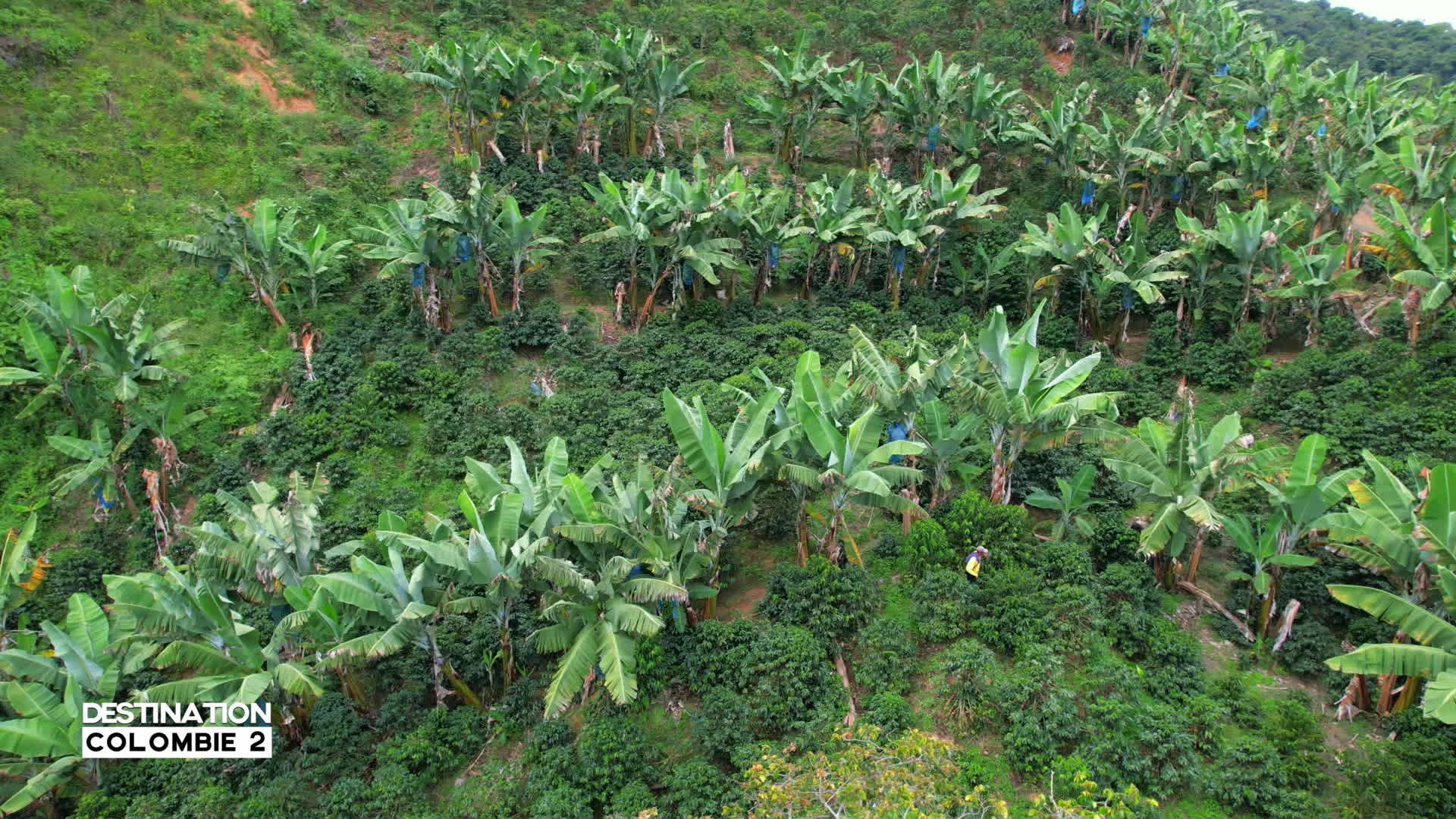 Destination francophonie