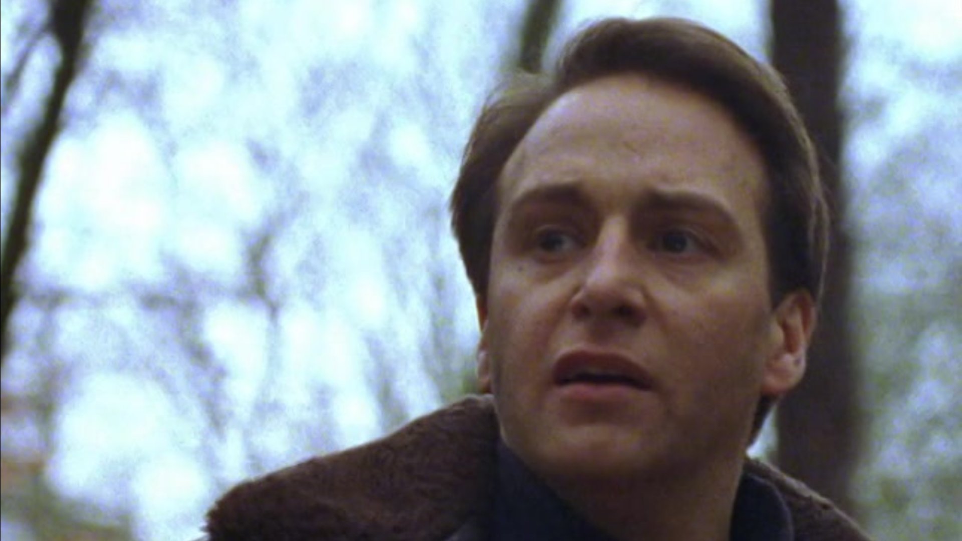 Squadra Speciale Cobra 11