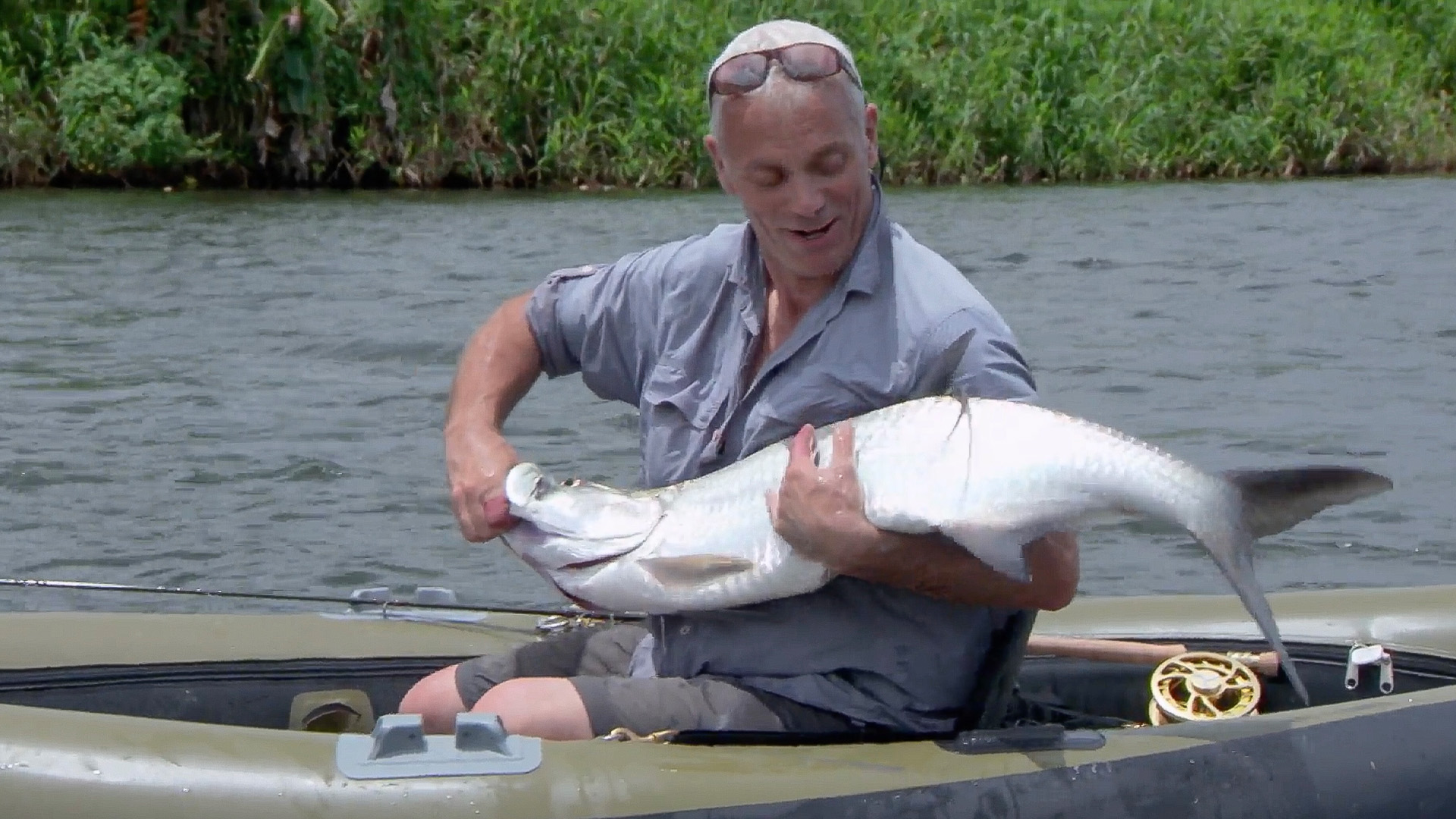 Der Atlantische Tarpun