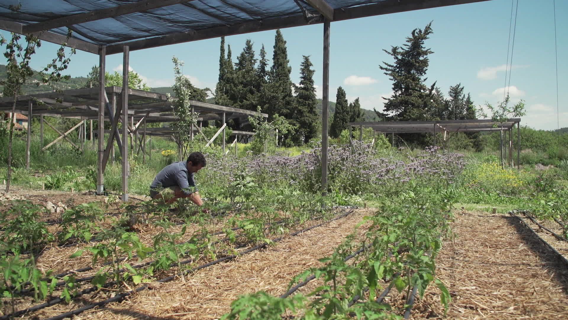 Itinéraires Paysans