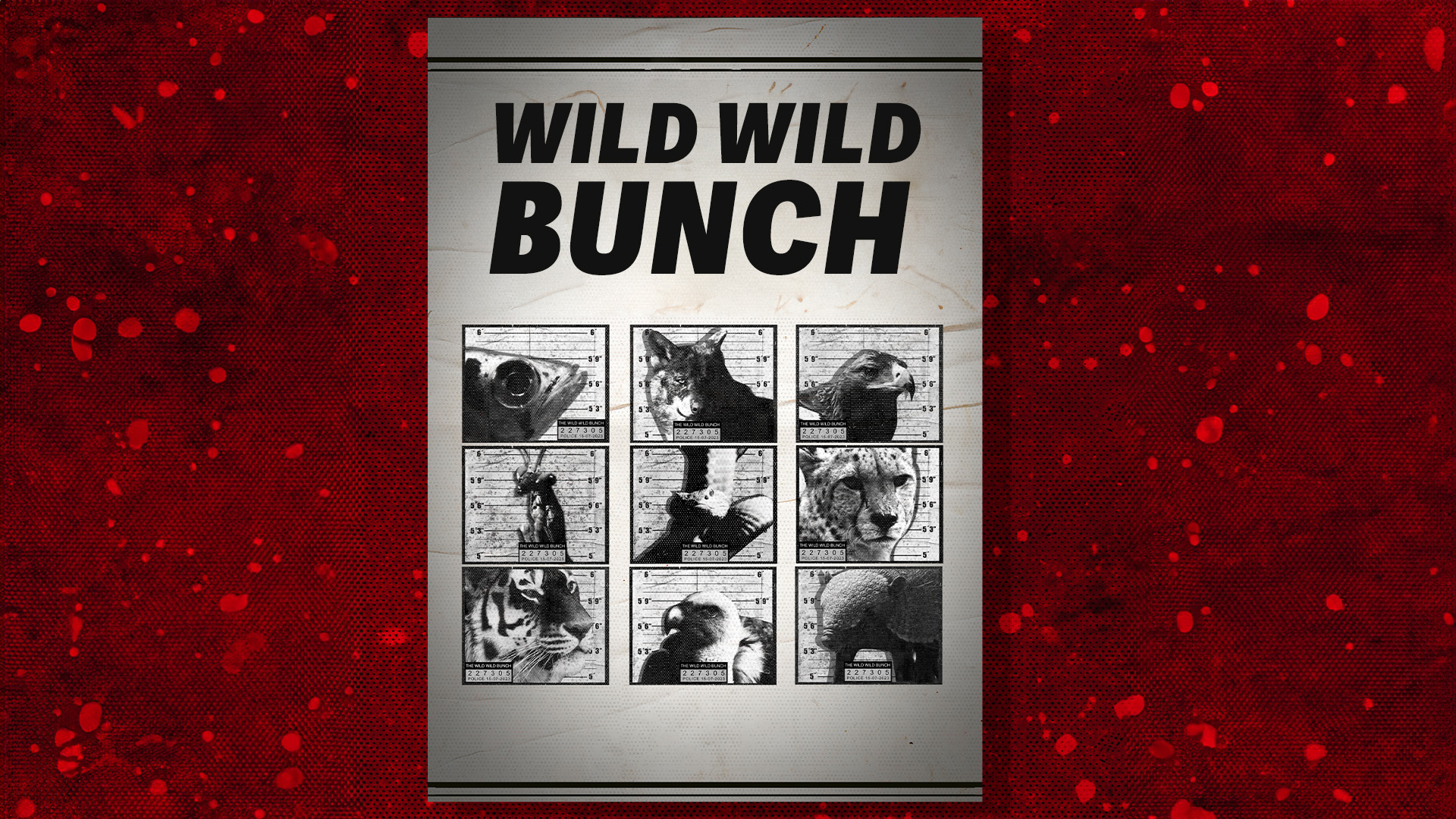 Wild Wild Bunch