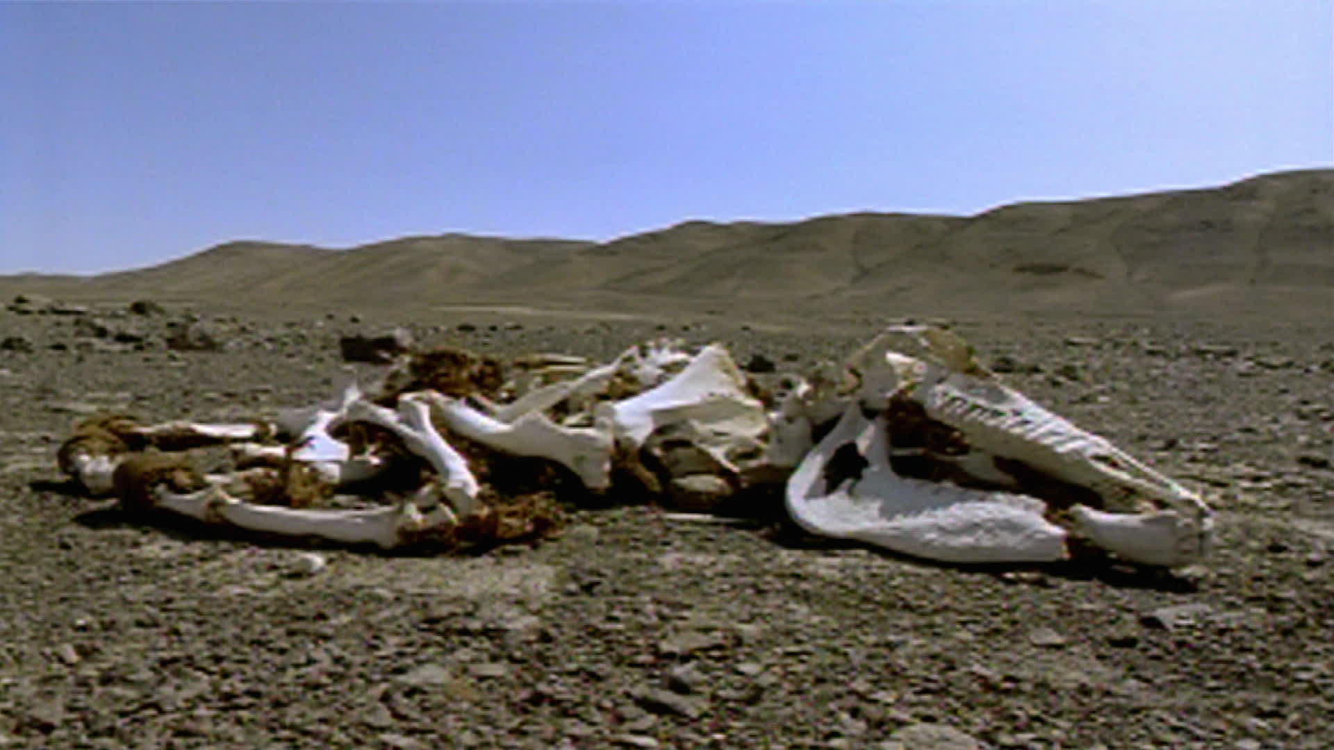 S1 E6 Driest Place on Earth