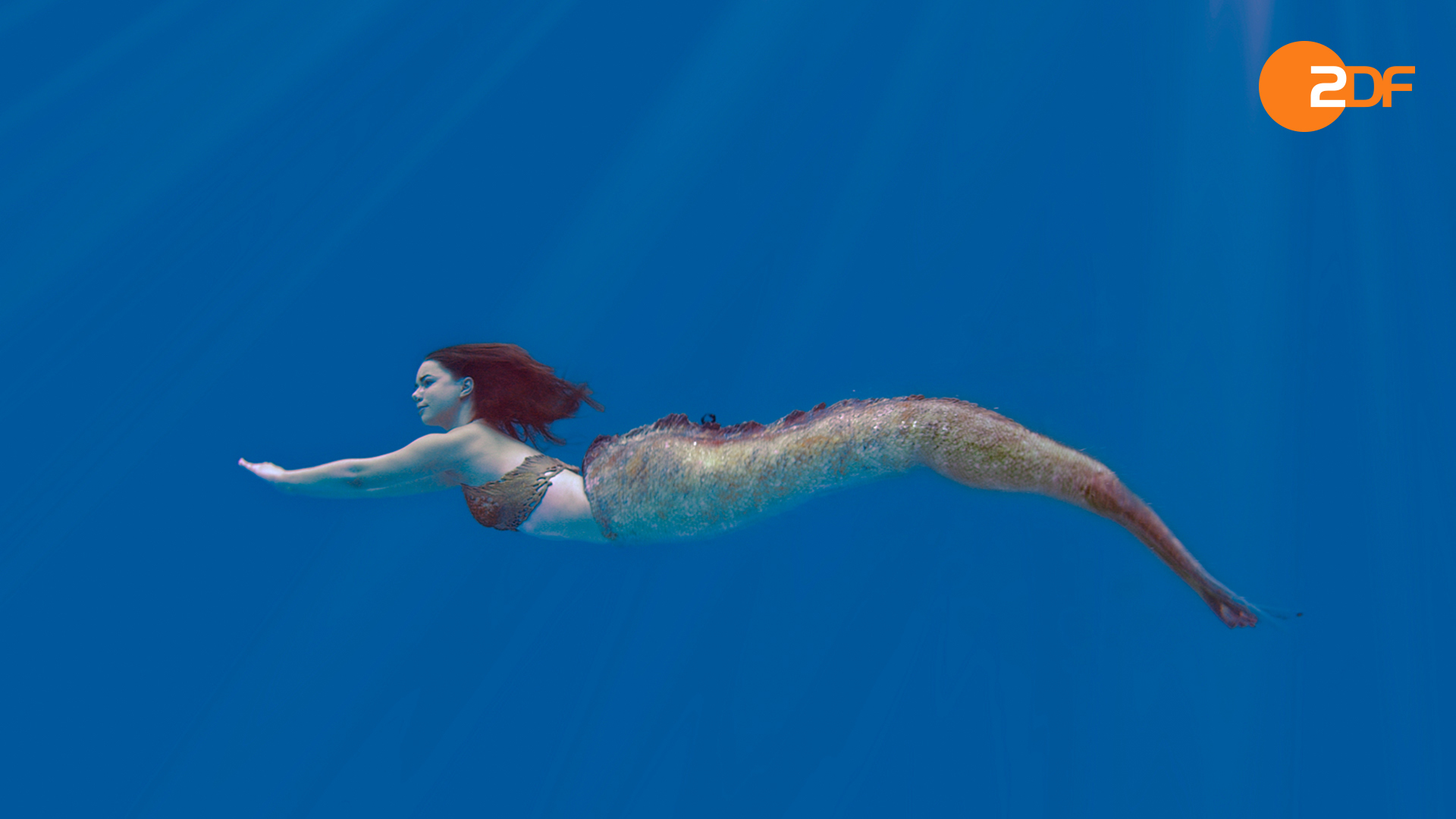 Mako Mermaids