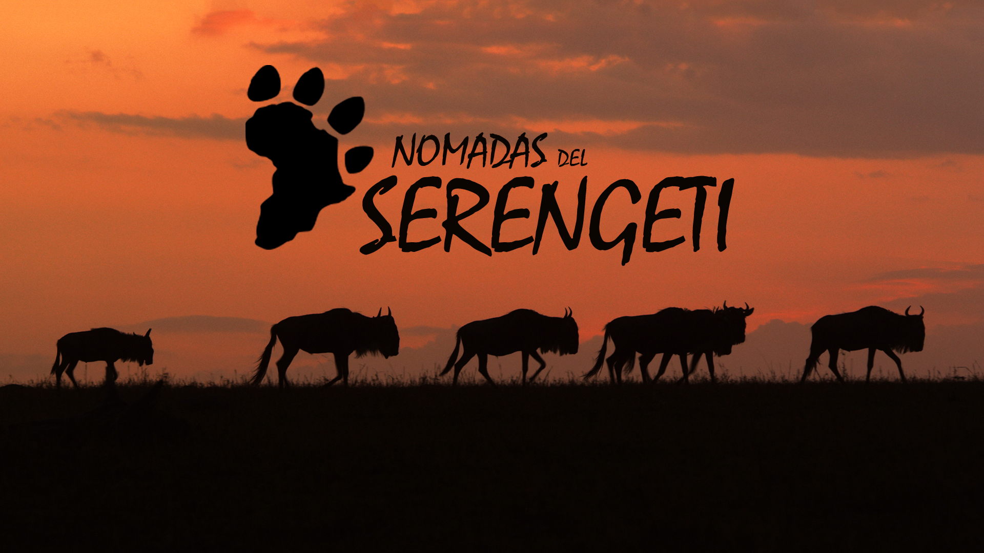 Nomadas del Serengeti