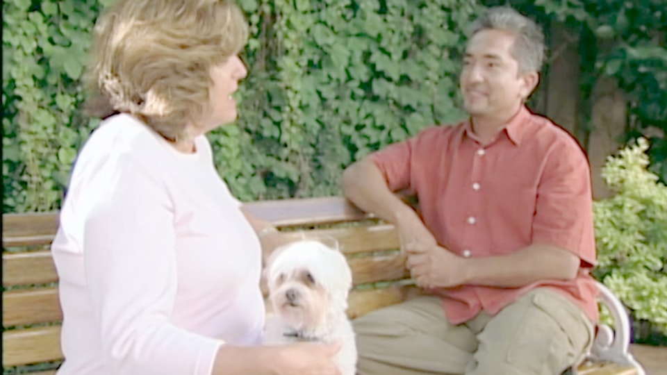 El encantador de perros