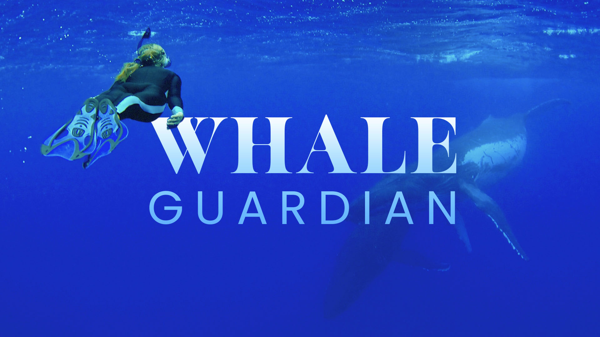 Whale Guardian