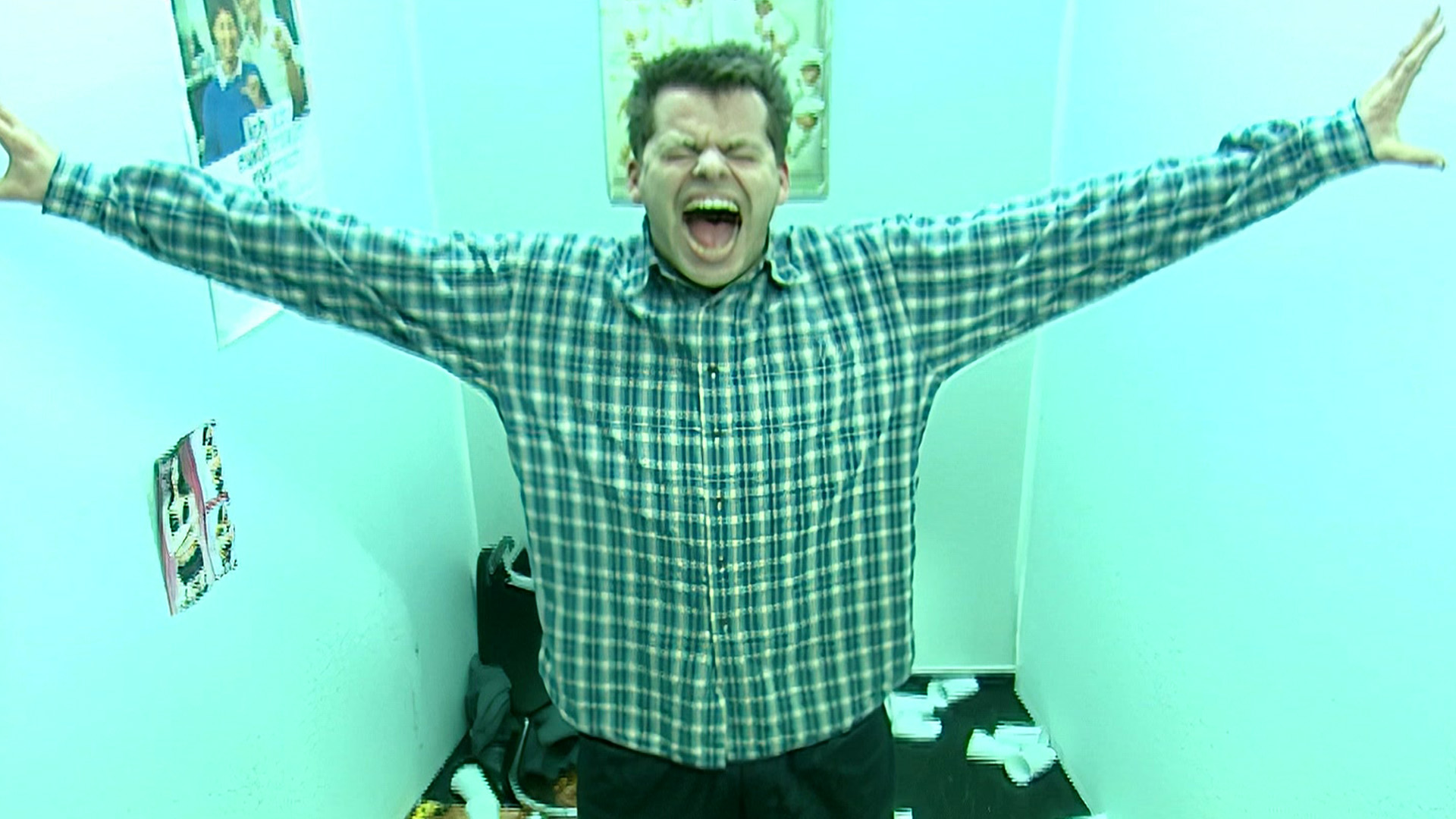 Die Ingo Appelt Show