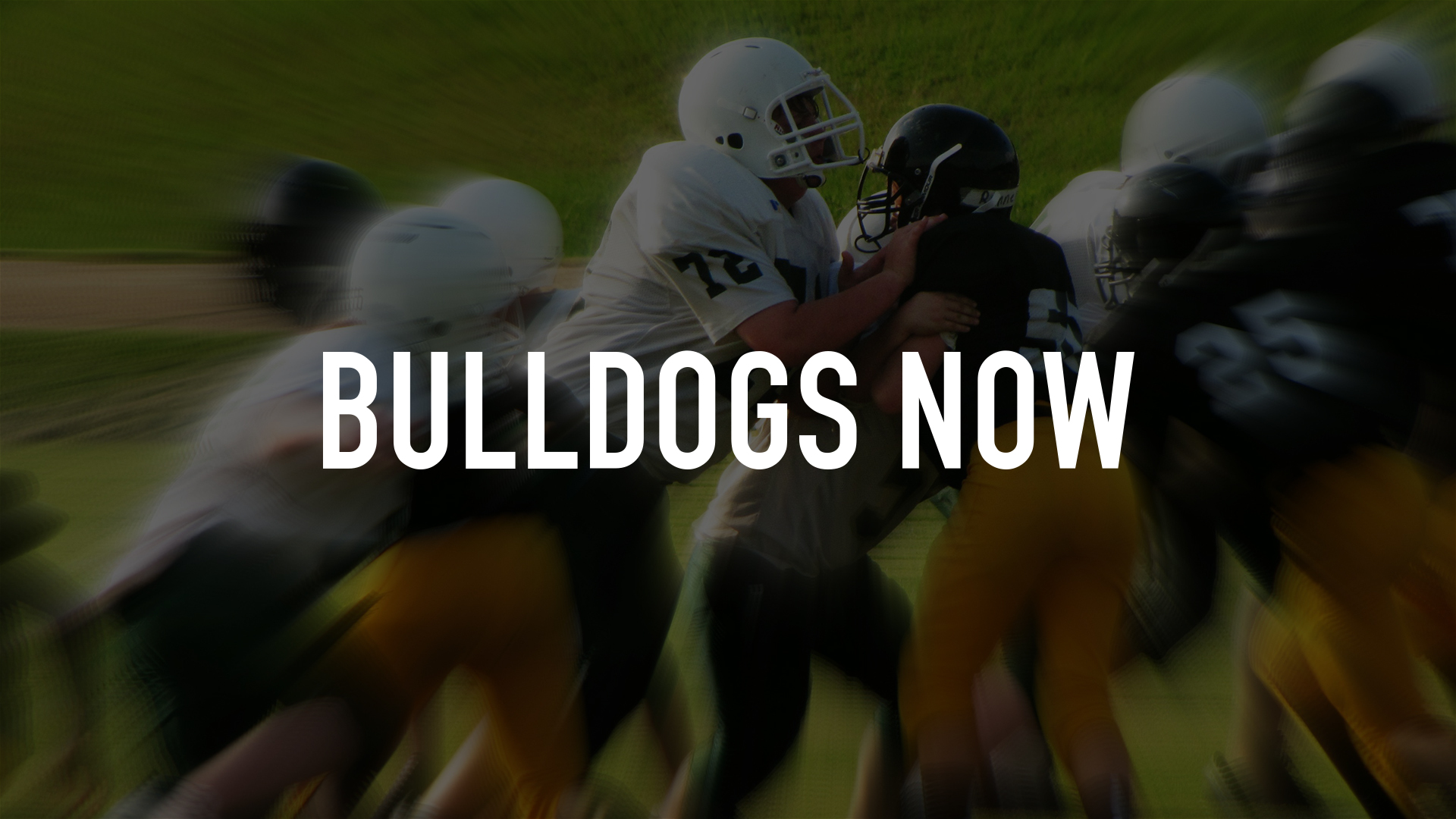 Bulldogs Now