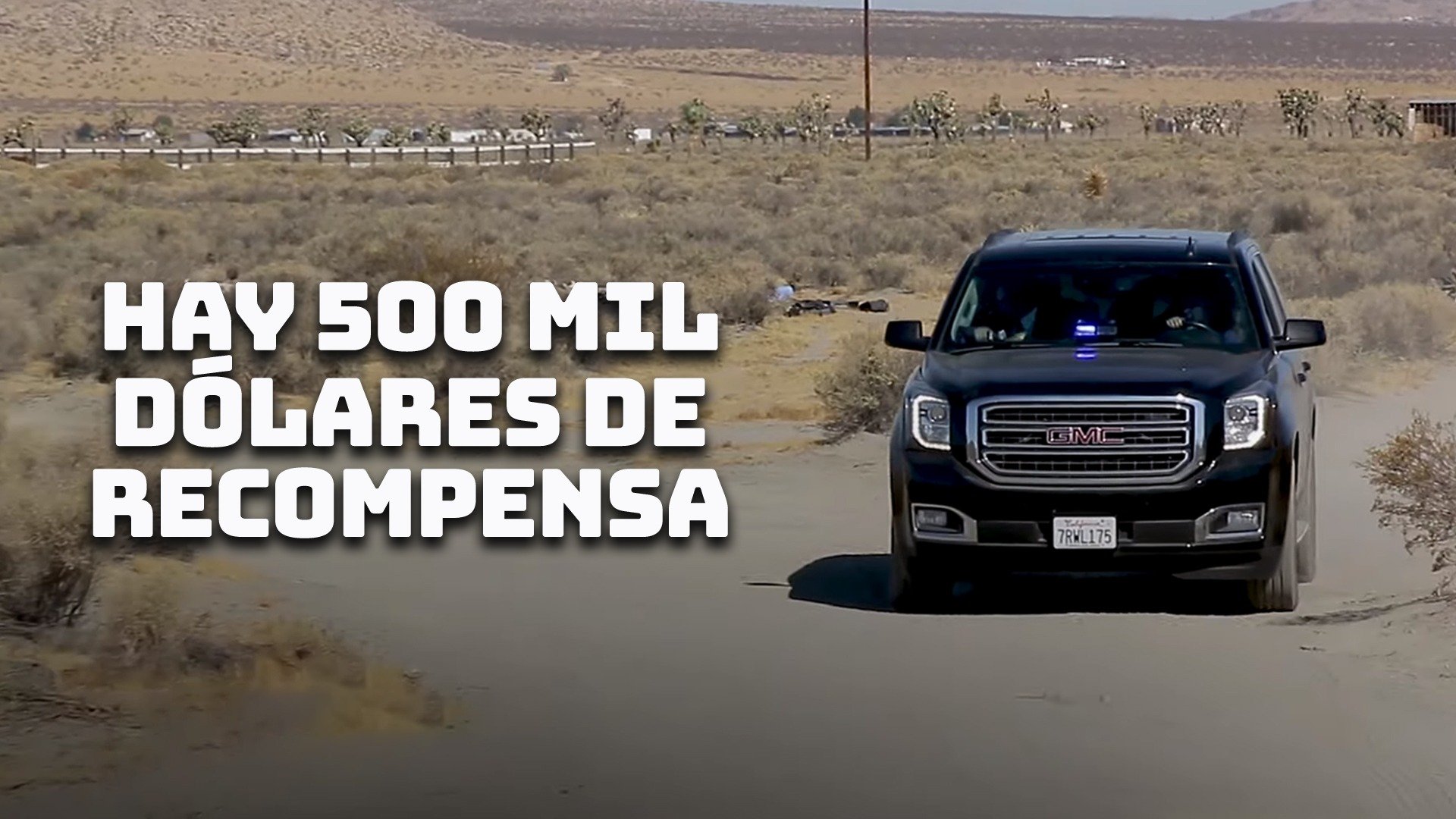 Hay 500 mil dólares de recompensa