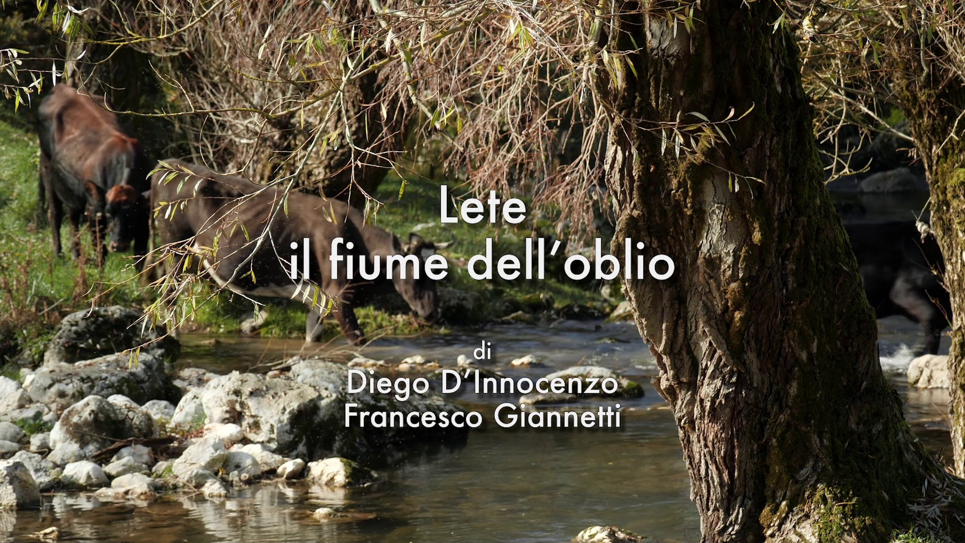Lete, il Fiume dell'Oblio