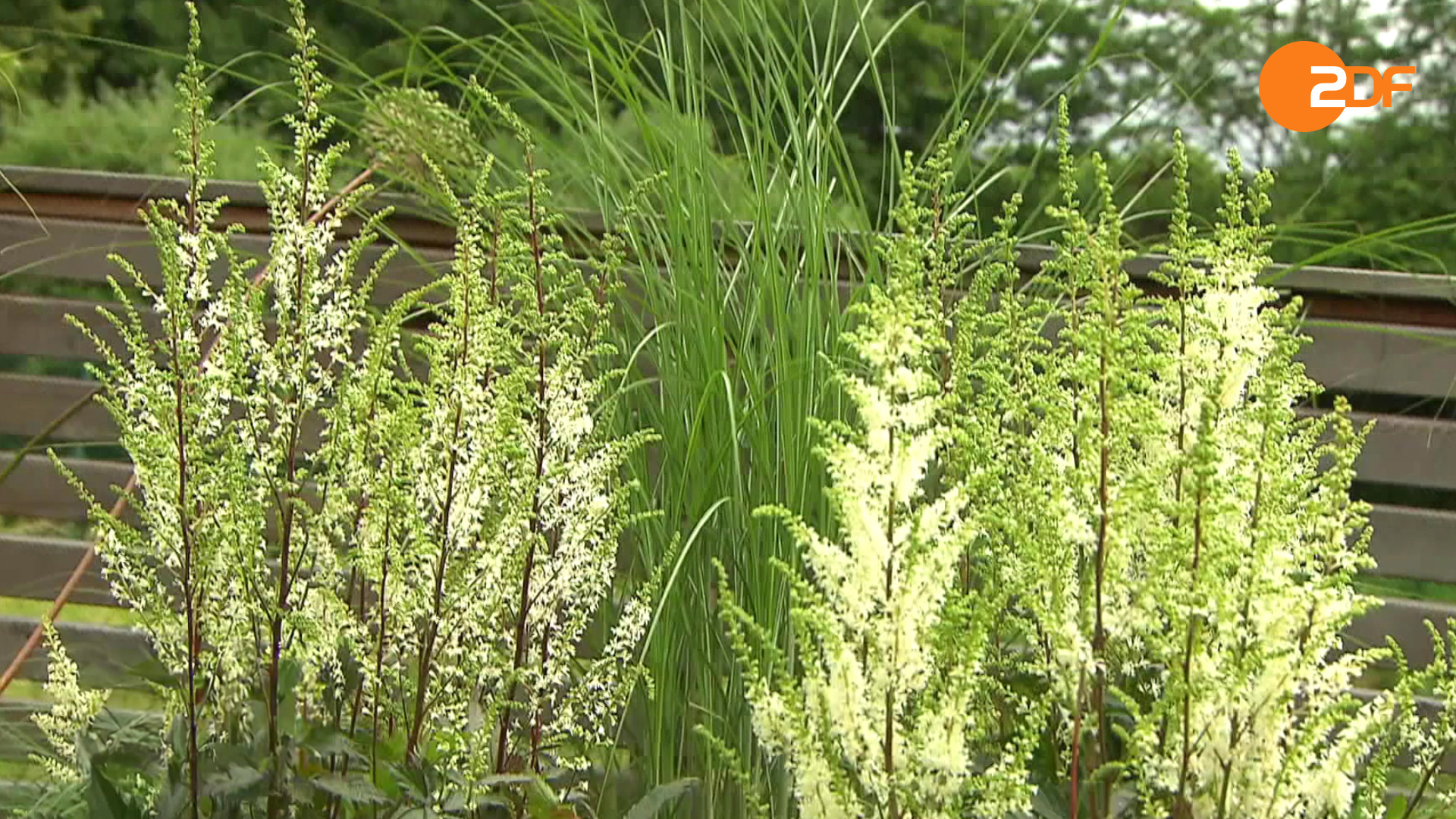 Duell der Gartenprofis