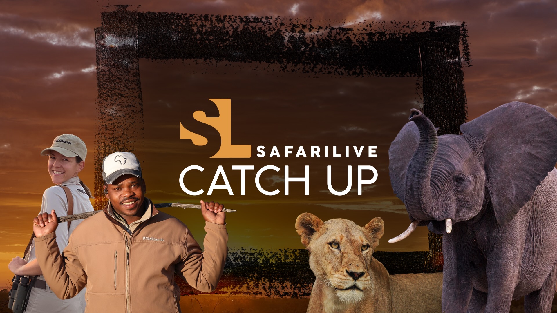 SafariLIVE Catch Up