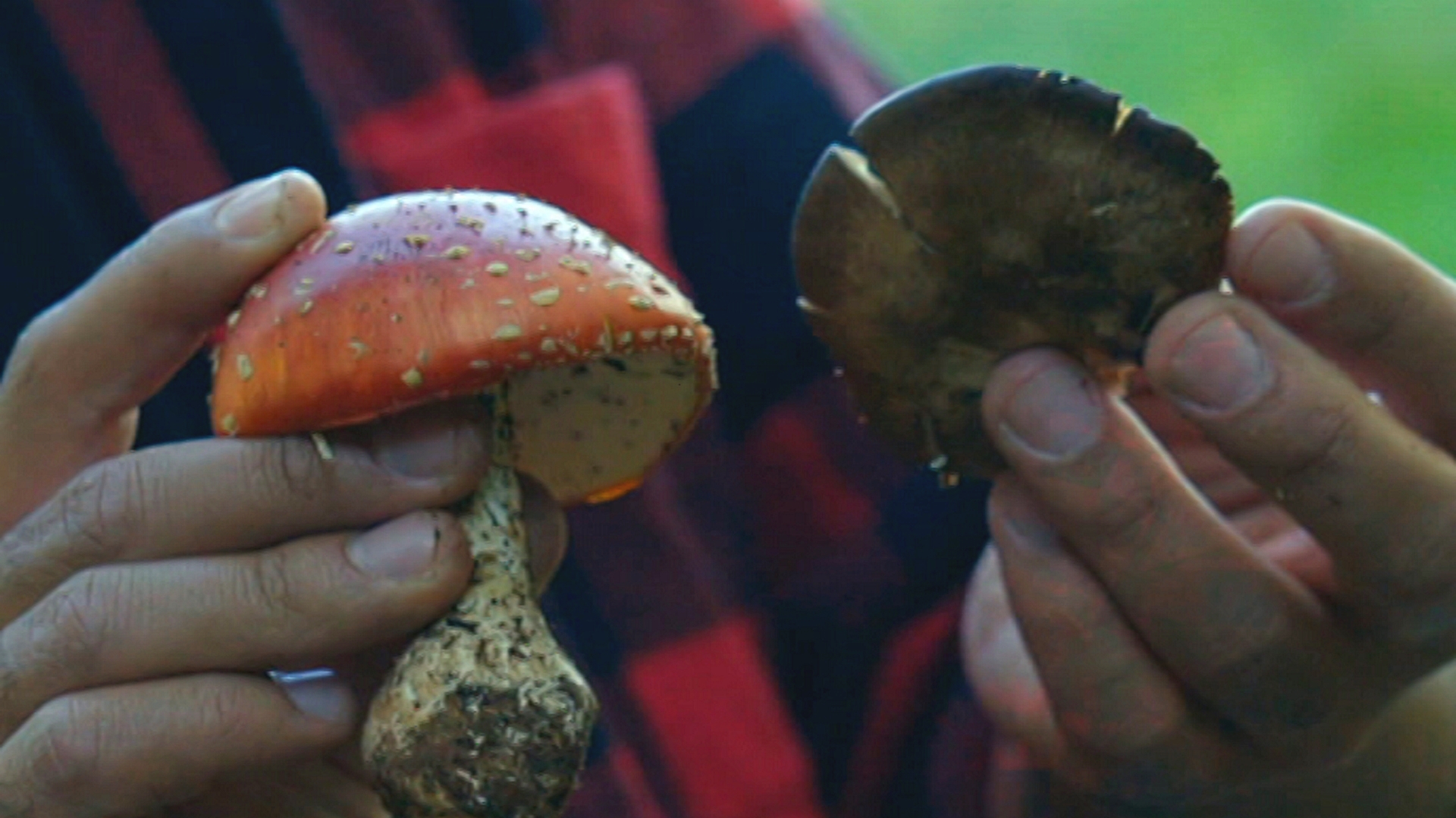 Sierra de Albarracín: Tierra de refugio