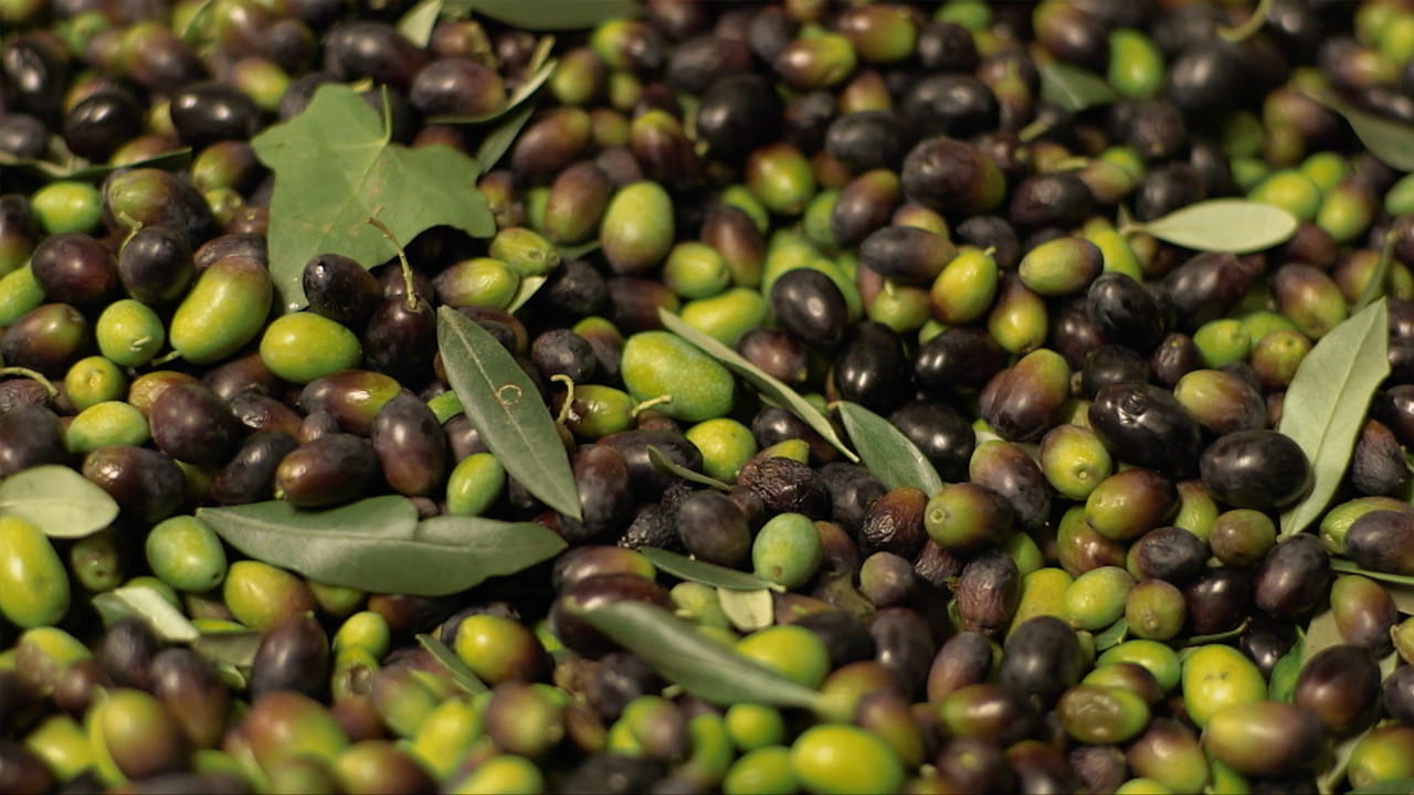 Bon Appetit: Gerard Depardieu's Europe