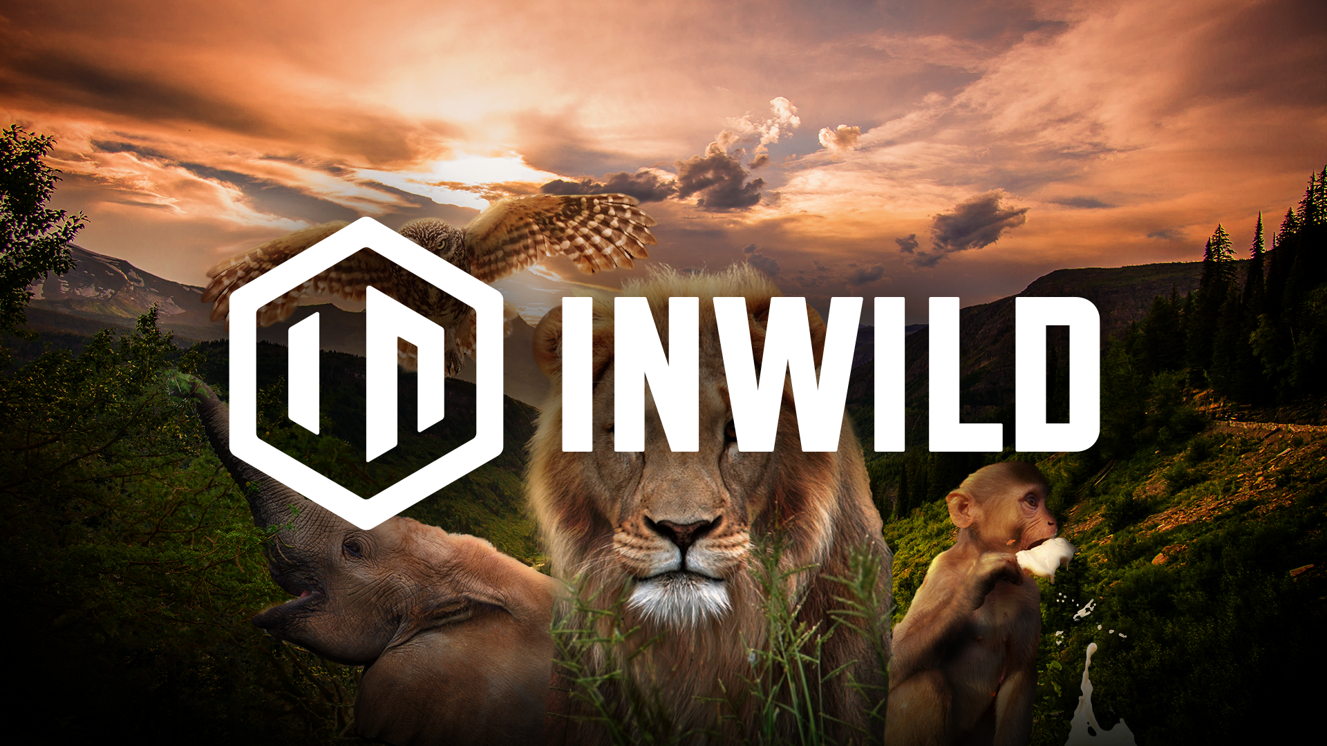 The Animal Communicator